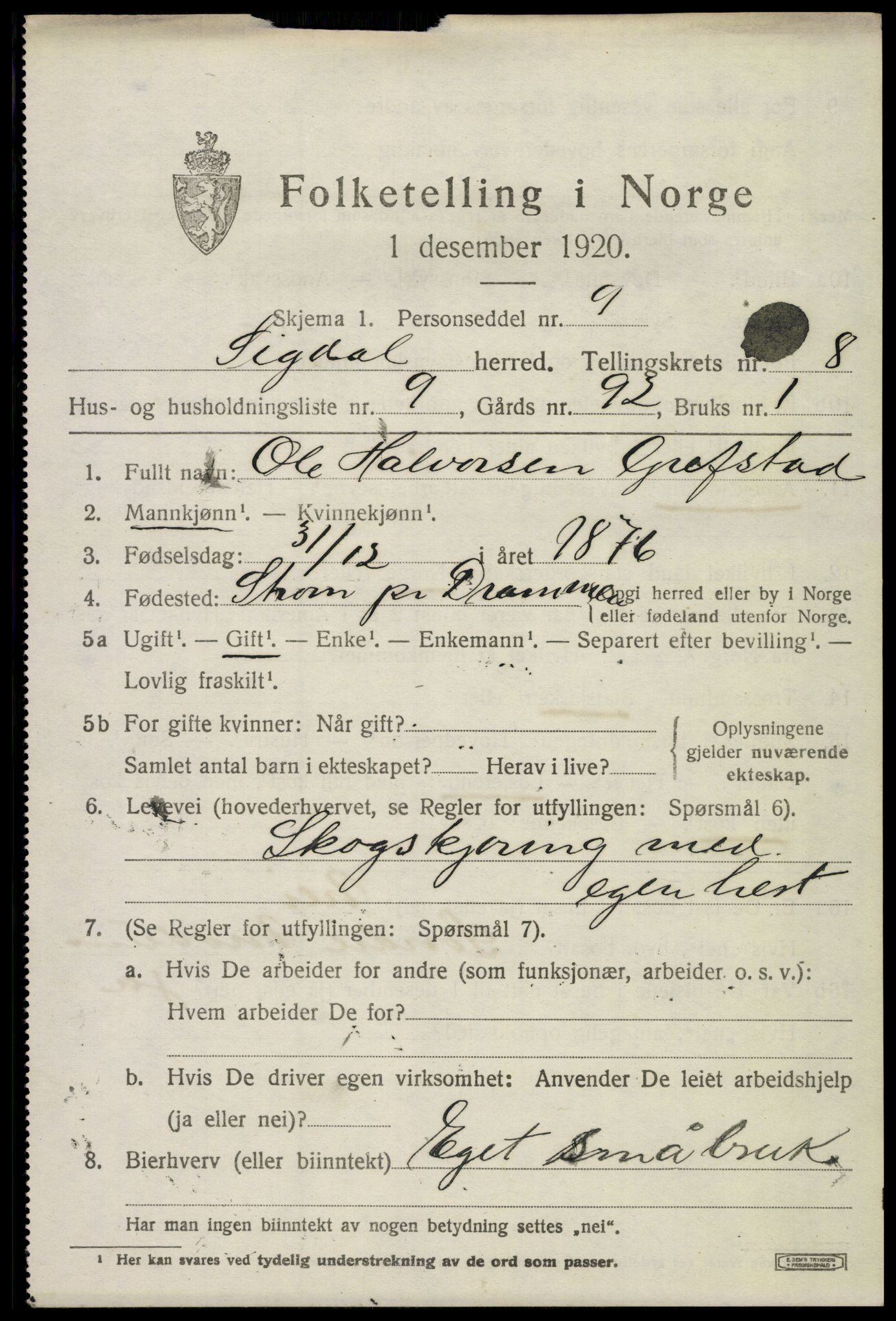 SAKO, 1920 census for Sigdal, 1920, p. 6102