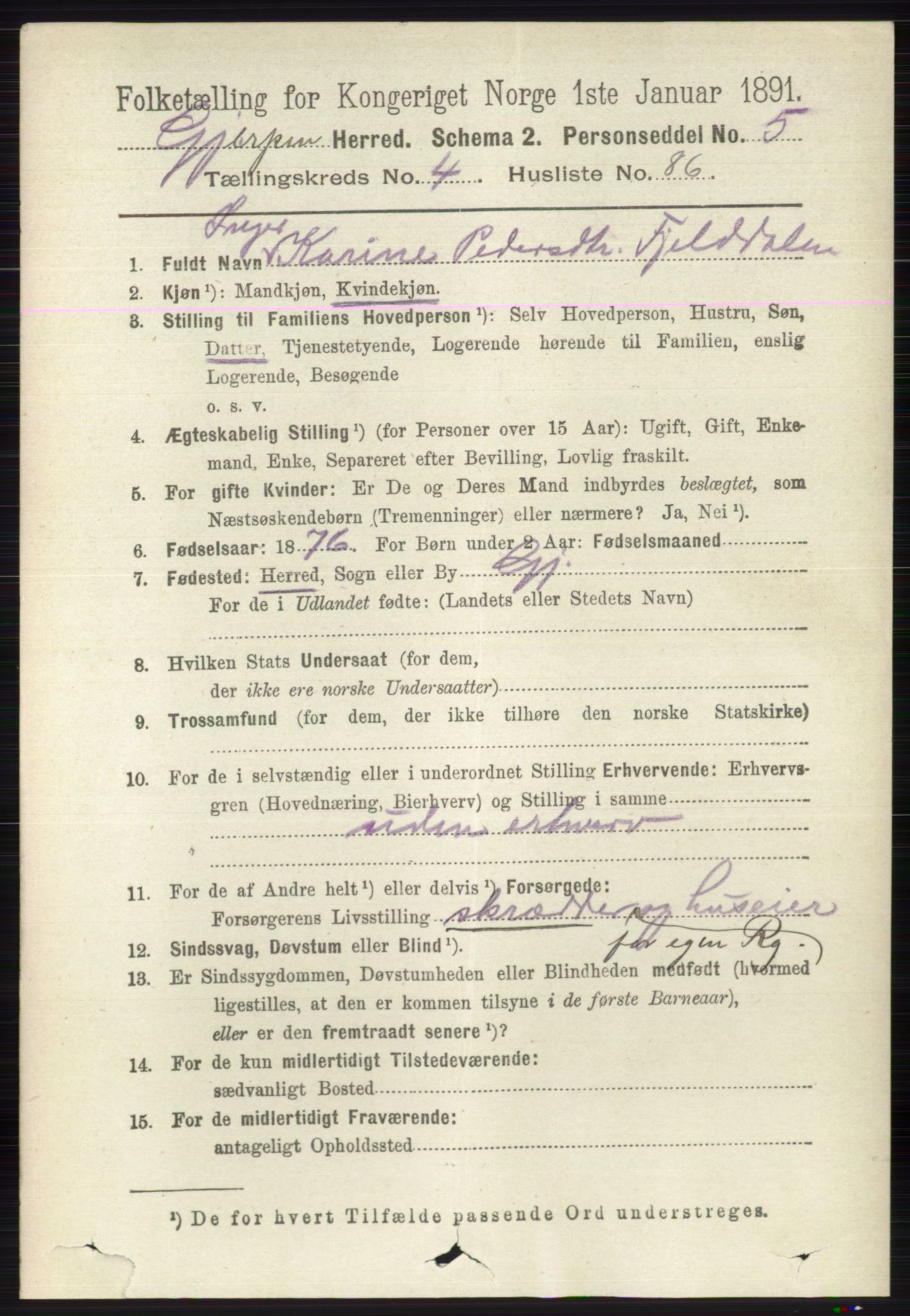 RA, 1891 census for 0812 Gjerpen, 1891, p. 2422