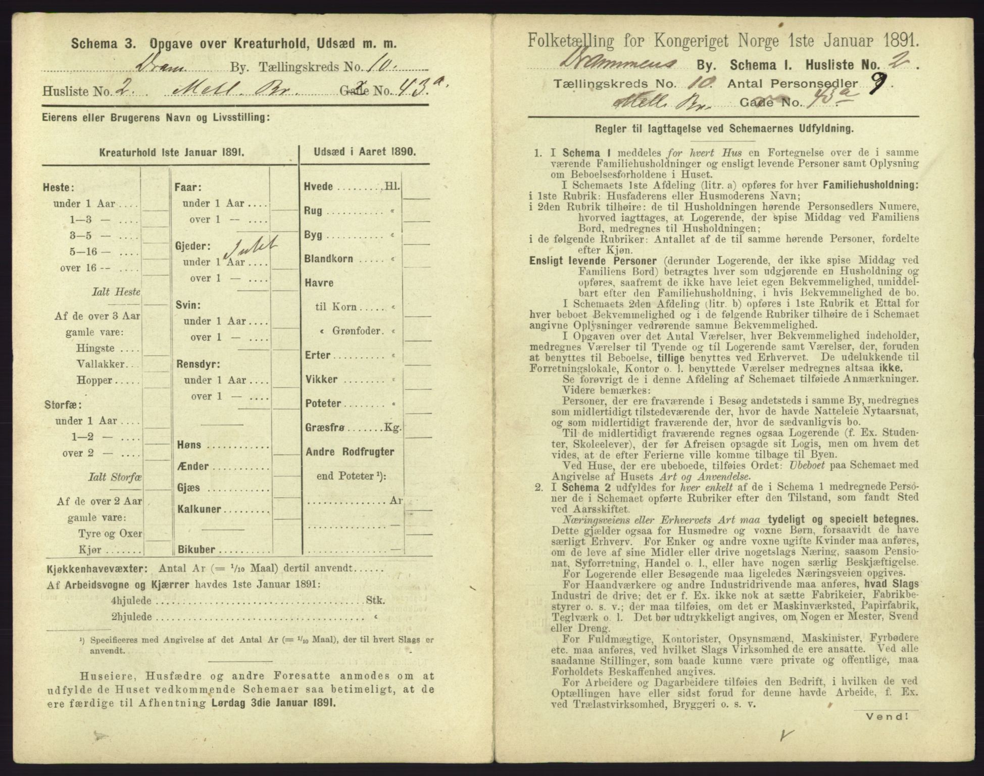 RA, 1891 census for 0602 Drammen, 1891, p. 829