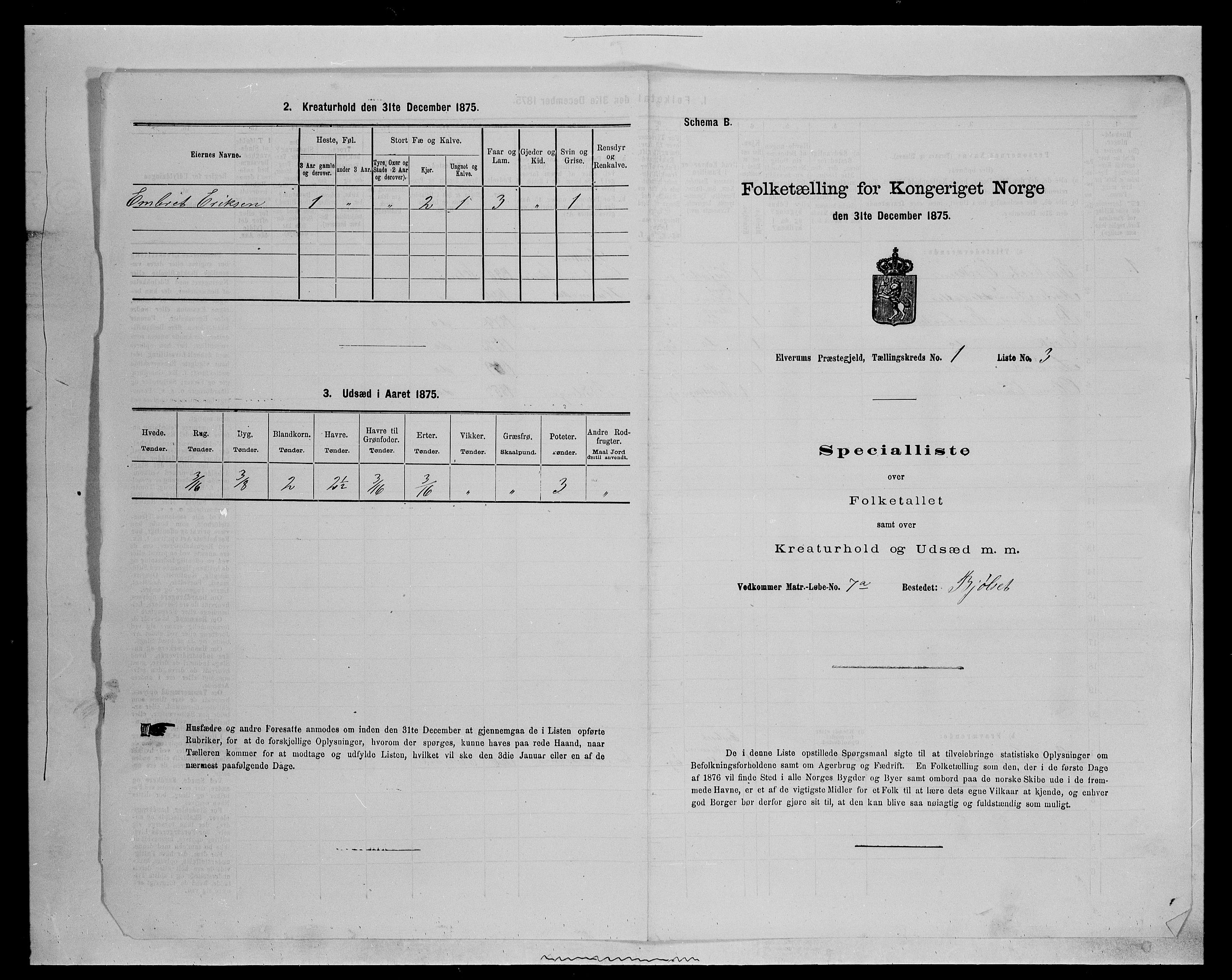 SAH, 1875 census for 0427P Elverum, 1875, p. 238