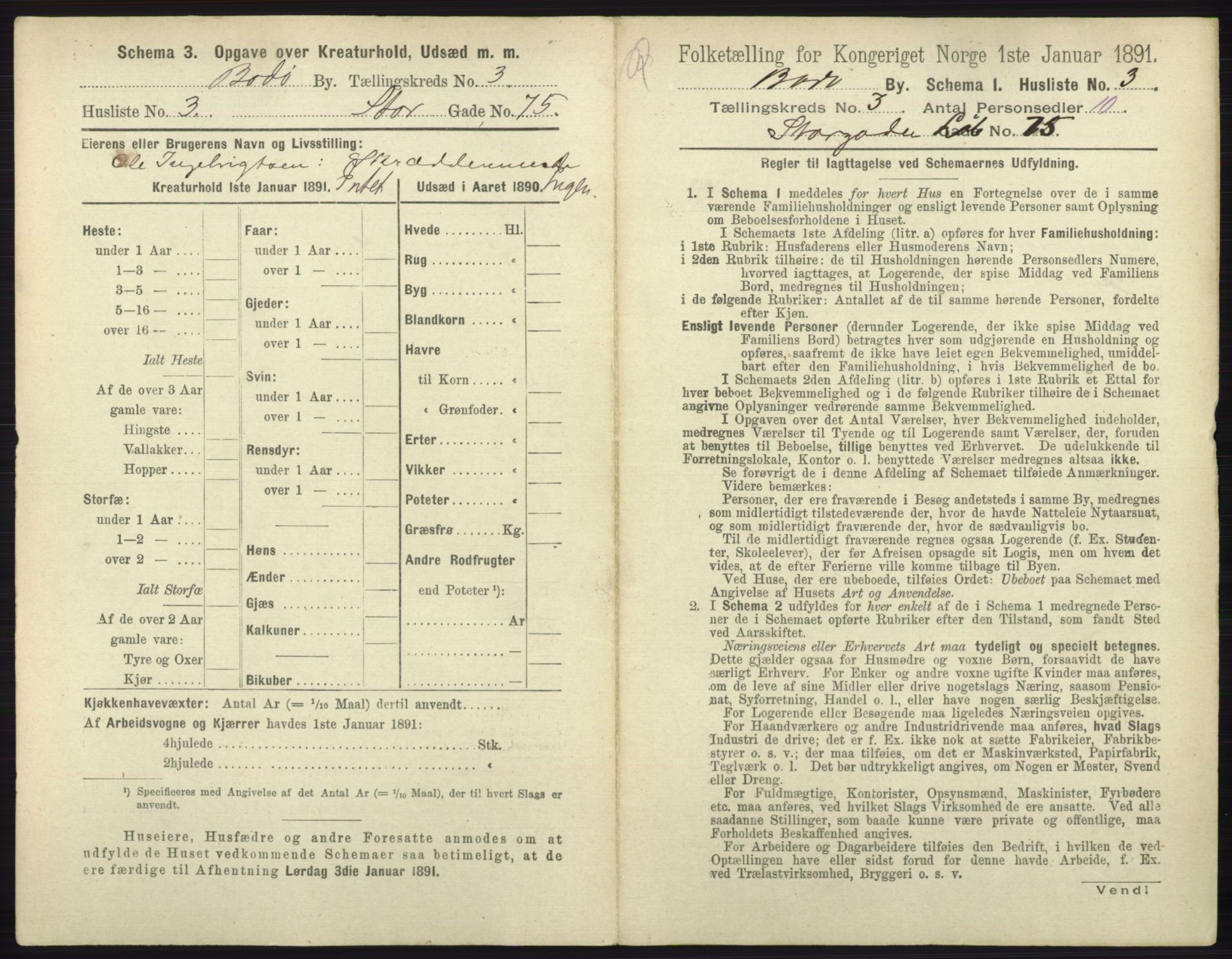 RA, 1891 census for 1804 Bodø, 1891, p. 1857