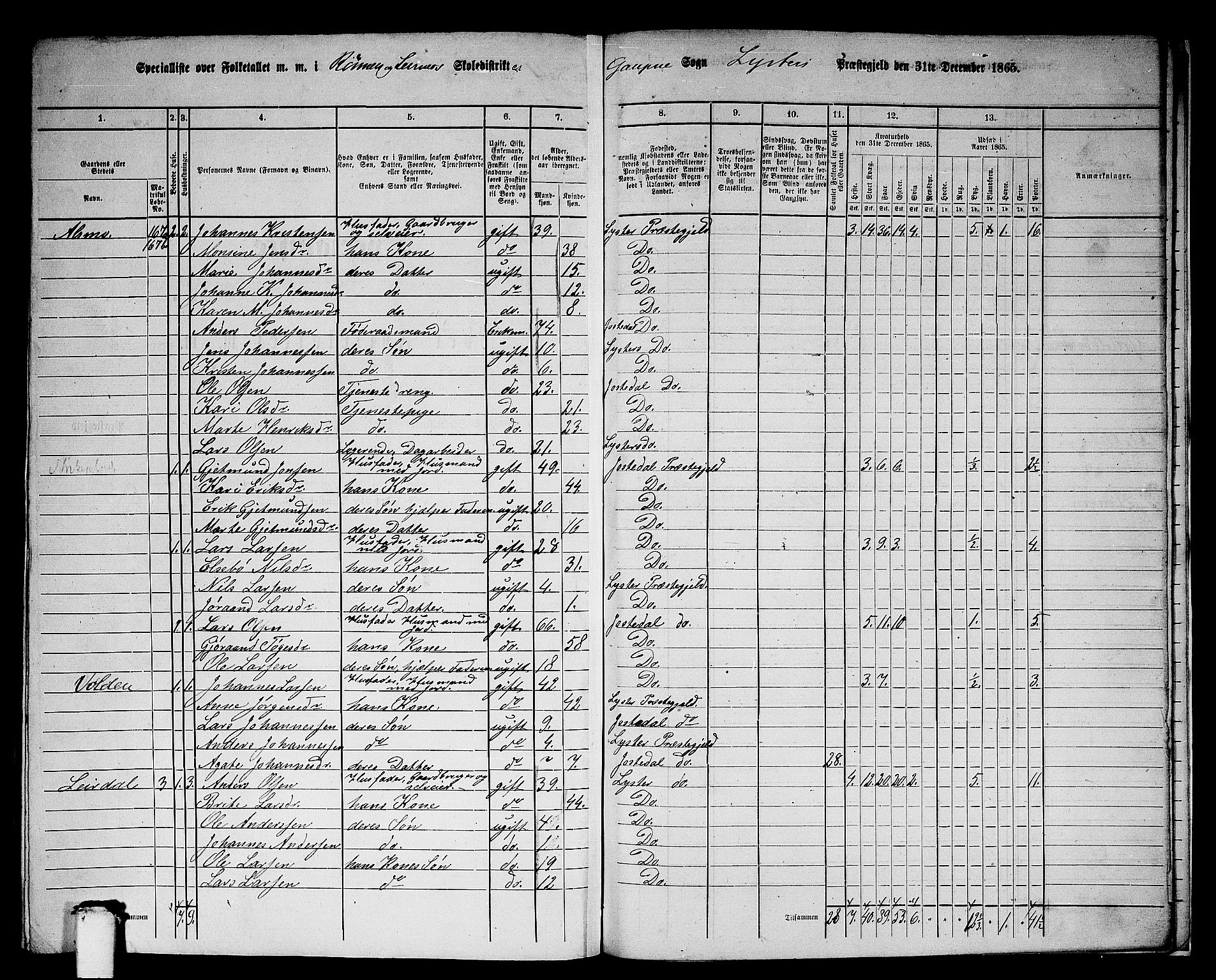 RA, 1865 census for Luster, 1865, p. 160