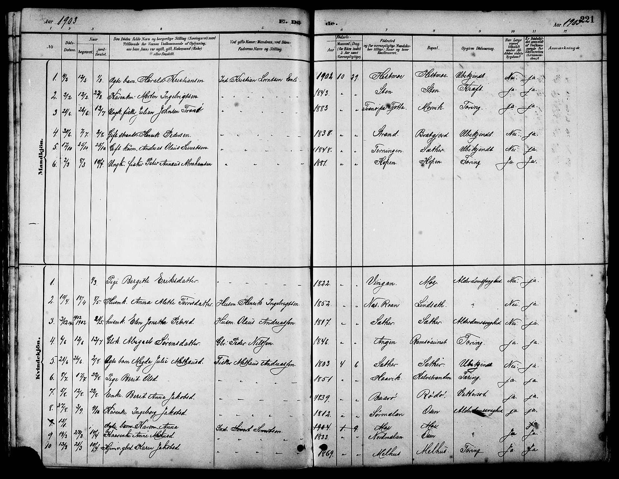 Ministerialprotokoller, klokkerbøker og fødselsregistre - Sør-Trøndelag, SAT/A-1456/658/L0726: Parish register (copy) no. 658C02, 1883-1908, p. 221