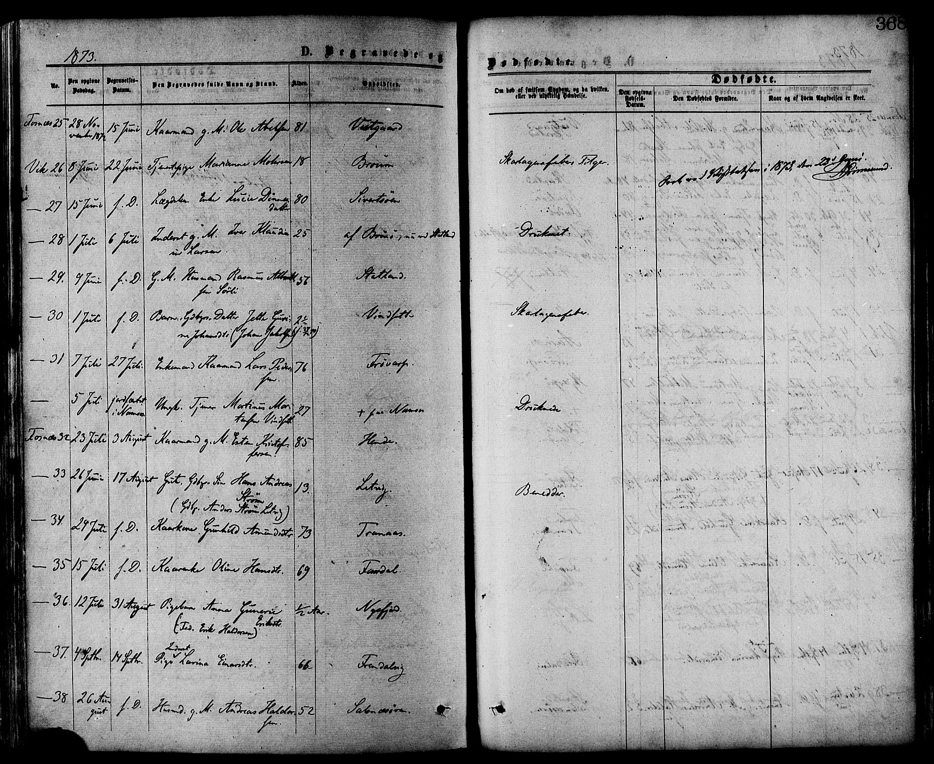 Ministerialprotokoller, klokkerbøker og fødselsregistre - Nord-Trøndelag, SAT/A-1458/773/L0616: Parish register (official) no. 773A07, 1870-1887, p. 368