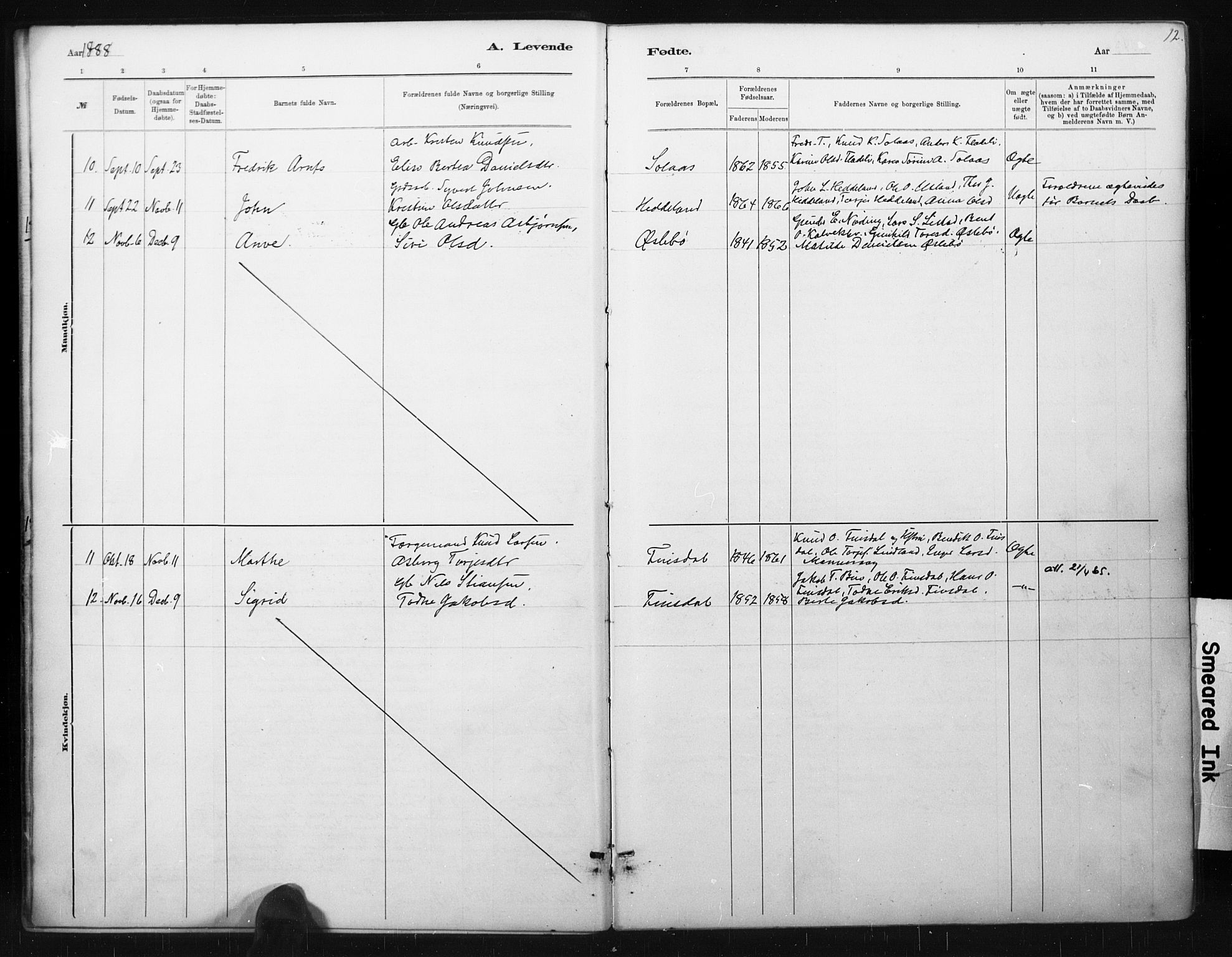 Holum sokneprestkontor, SAK/1111-0022/F/Fa/Fac/L0004: Parish register (official) no. A 4, 1884-1907, p. 12