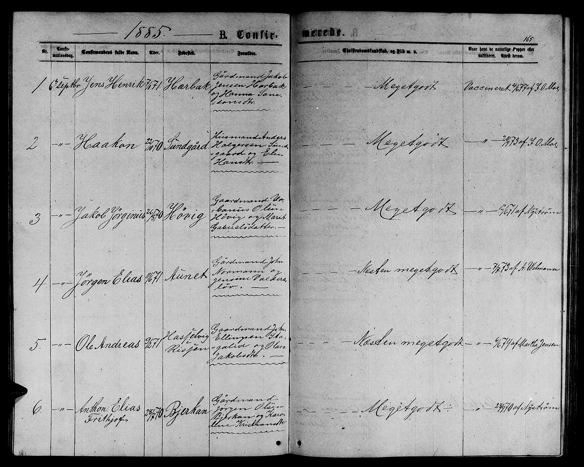 Ministerialprotokoller, klokkerbøker og fødselsregistre - Sør-Trøndelag, SAT/A-1456/656/L0695: Parish register (copy) no. 656C01, 1867-1889, p. 165