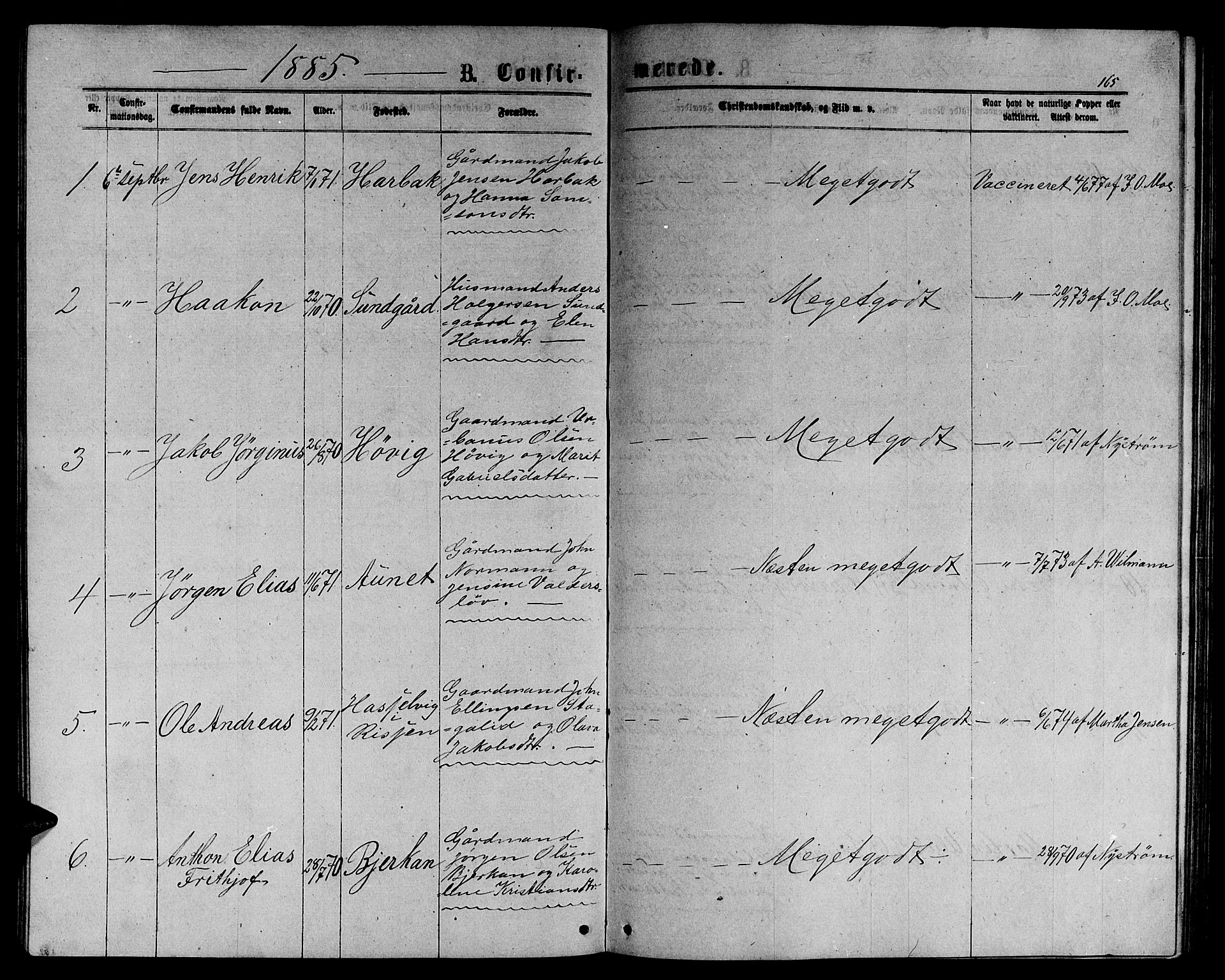 Ministerialprotokoller, klokkerbøker og fødselsregistre - Sør-Trøndelag, AV/SAT-A-1456/656/L0695: Parish register (copy) no. 656C01, 1867-1889, p. 165