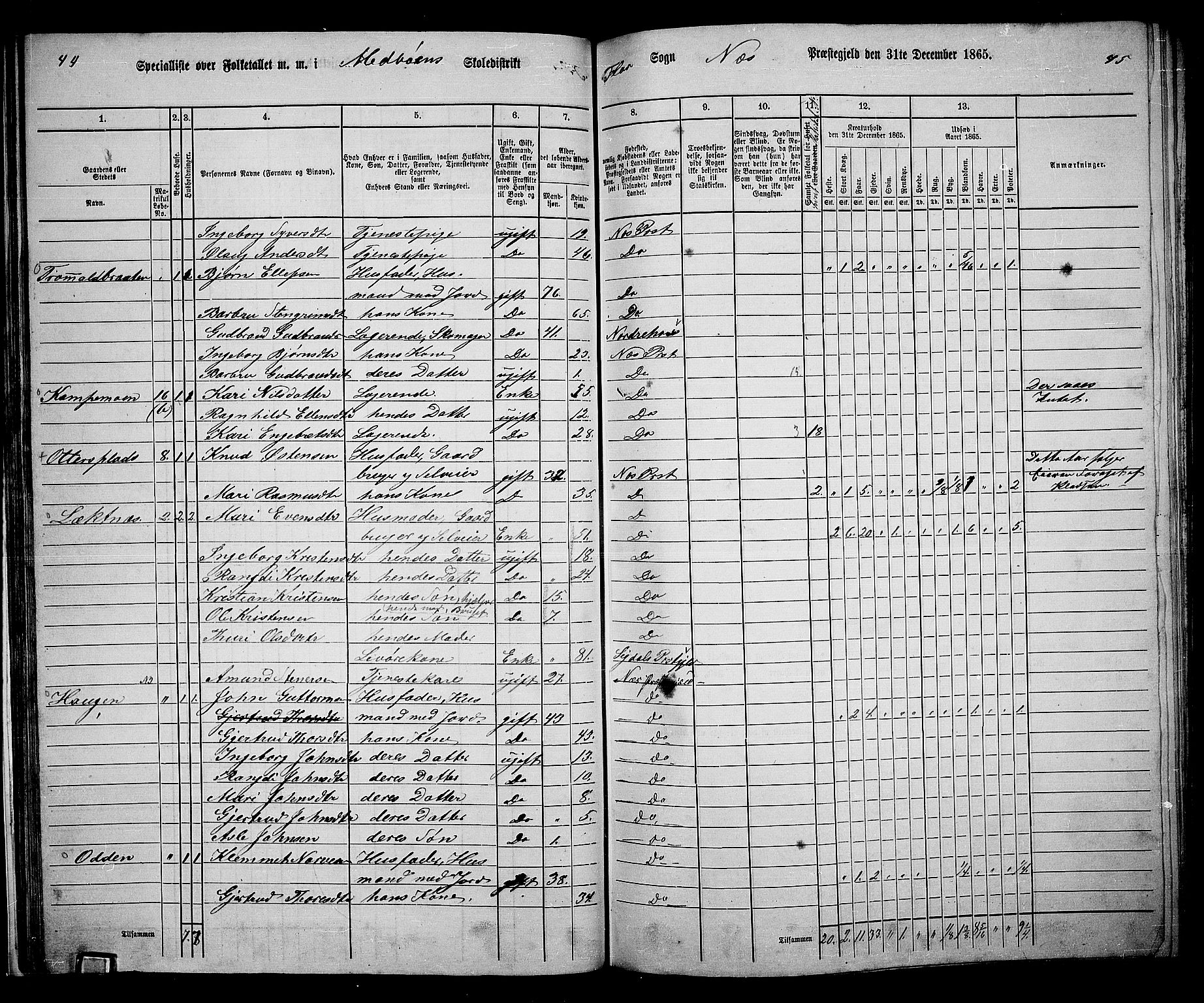 RA, 1865 census for Nes, 1865, p. 40