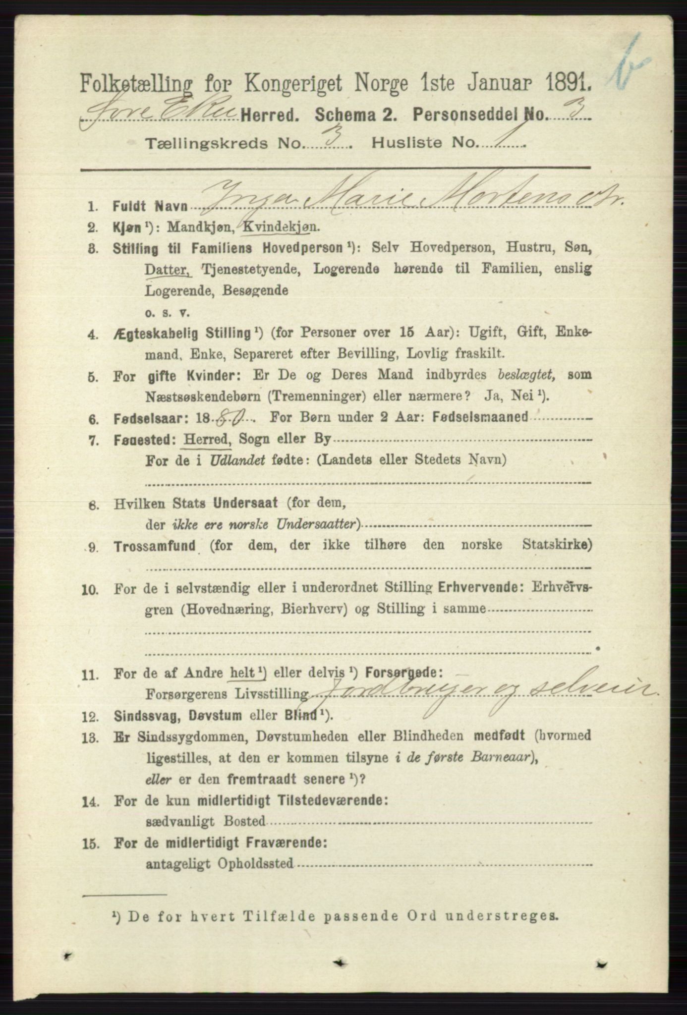 RA, 1891 census for 0624 Øvre Eiker, 1891, p. 9079