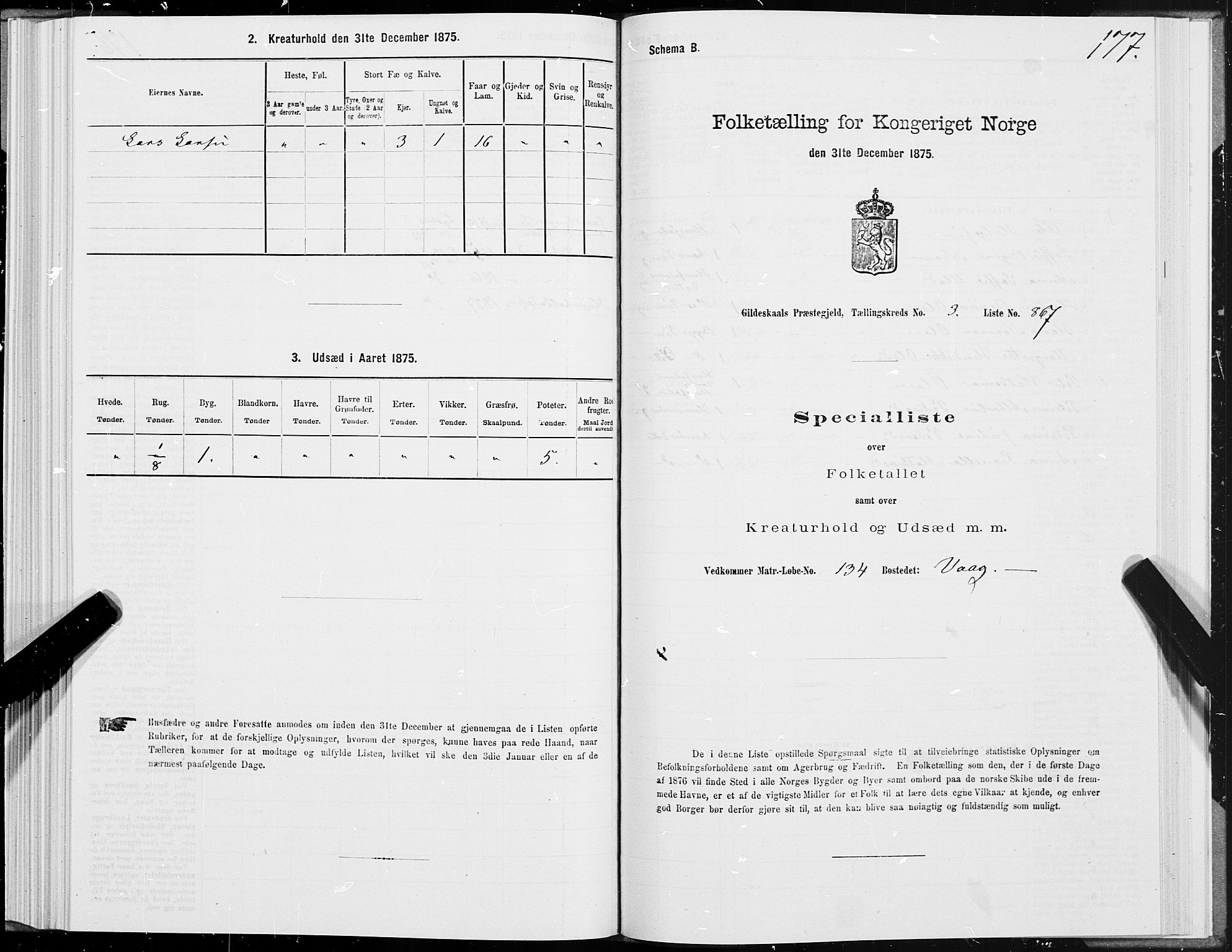 SAT, 1875 census for 1838P Gildeskål, 1875, p. 2177