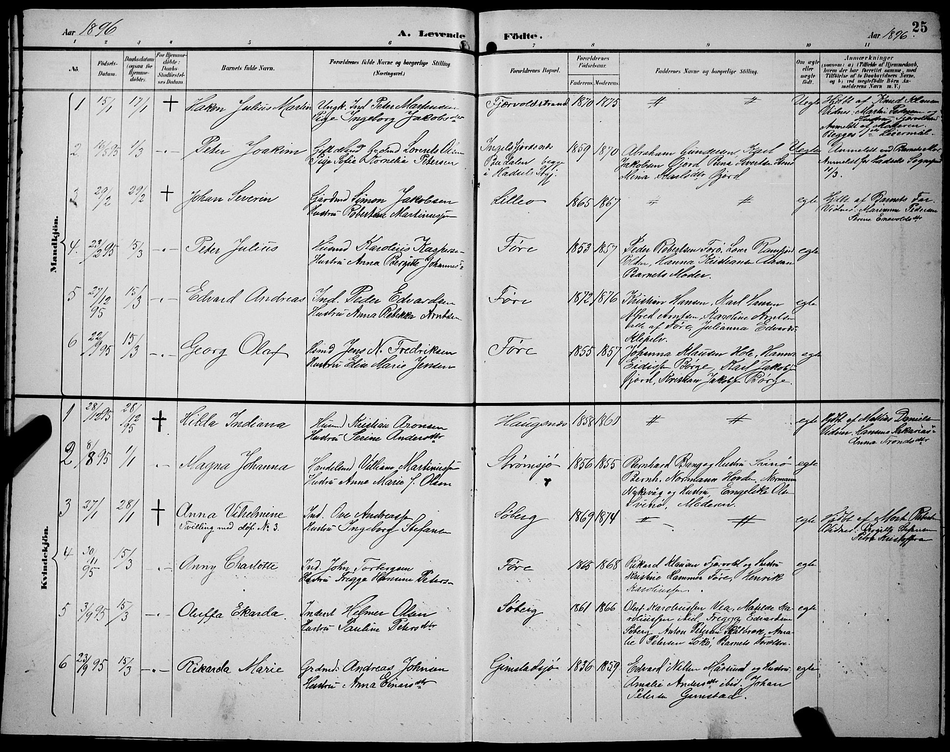 Ministerialprotokoller, klokkerbøker og fødselsregistre - Nordland, AV/SAT-A-1459/891/L1316: Parish register (copy) no. 891C05, 1894-1898, p. 25