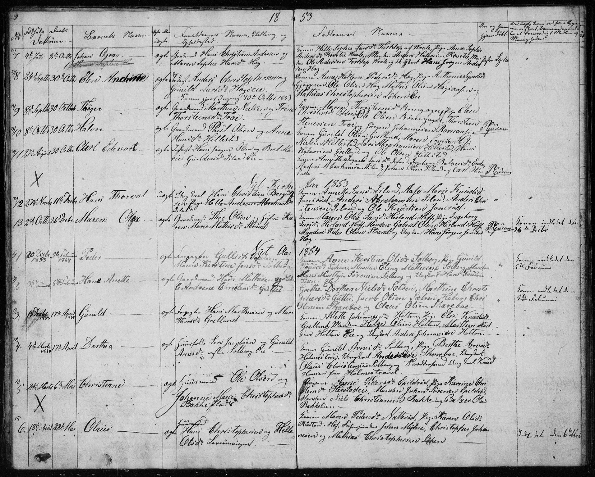 Botne kirkebøker, AV/SAKO-A-340/G/Gb/L0001: Parish register (copy) no. II 1, 1848-1860, p. 9