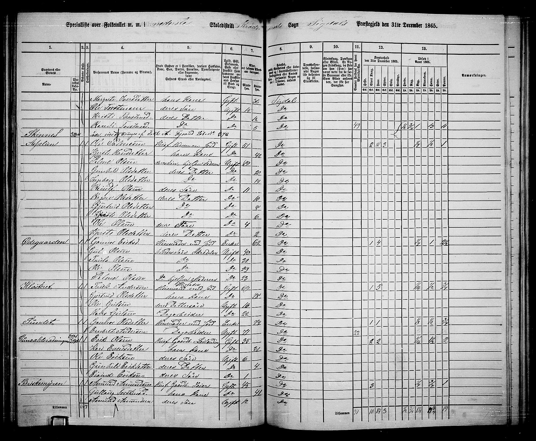 RA, 1865 census for Sigdal, 1865, p. 200