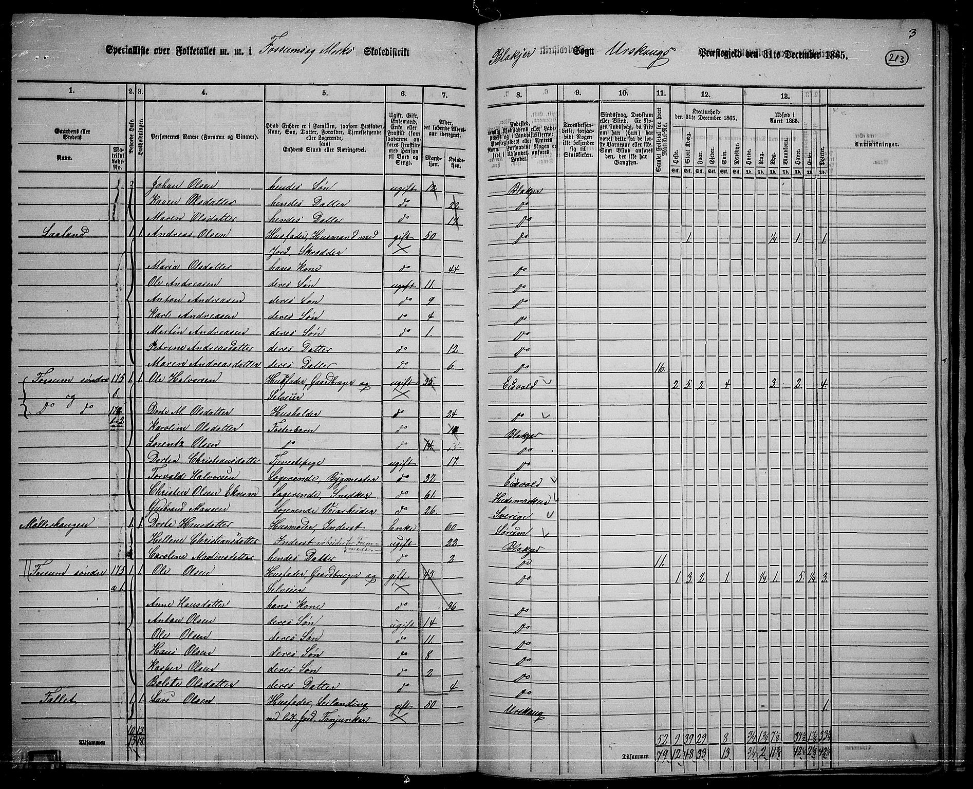 RA, 1865 census for Aurskog, 1865, p. 192