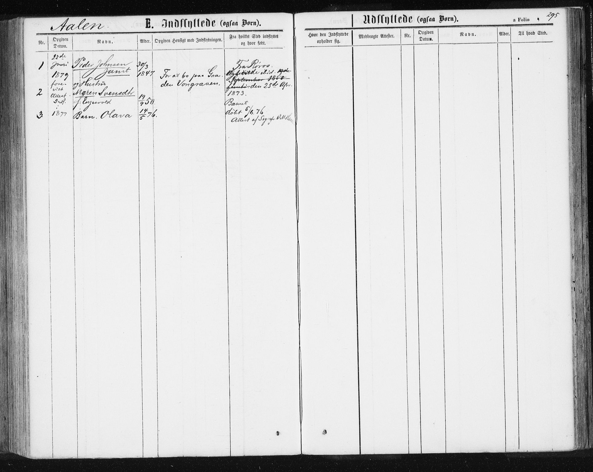 Ministerialprotokoller, klokkerbøker og fødselsregistre - Sør-Trøndelag, SAT/A-1456/685/L0971: Parish register (official) no. 685A08 /3, 1870-1879, p. 295