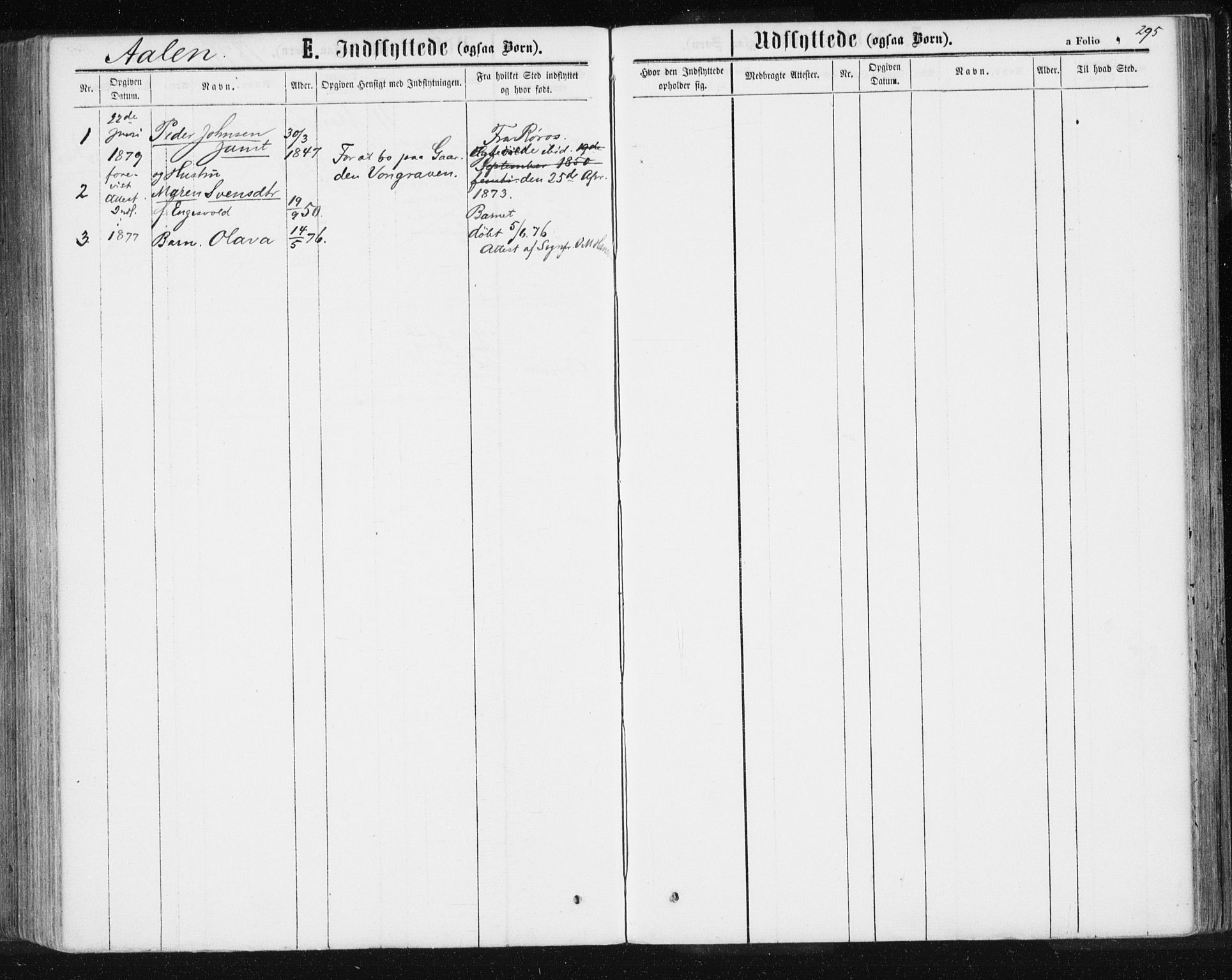 Ministerialprotokoller, klokkerbøker og fødselsregistre - Sør-Trøndelag, AV/SAT-A-1456/685/L0971: Parish register (official) no. 685A08 /3, 1870-1879, p. 295