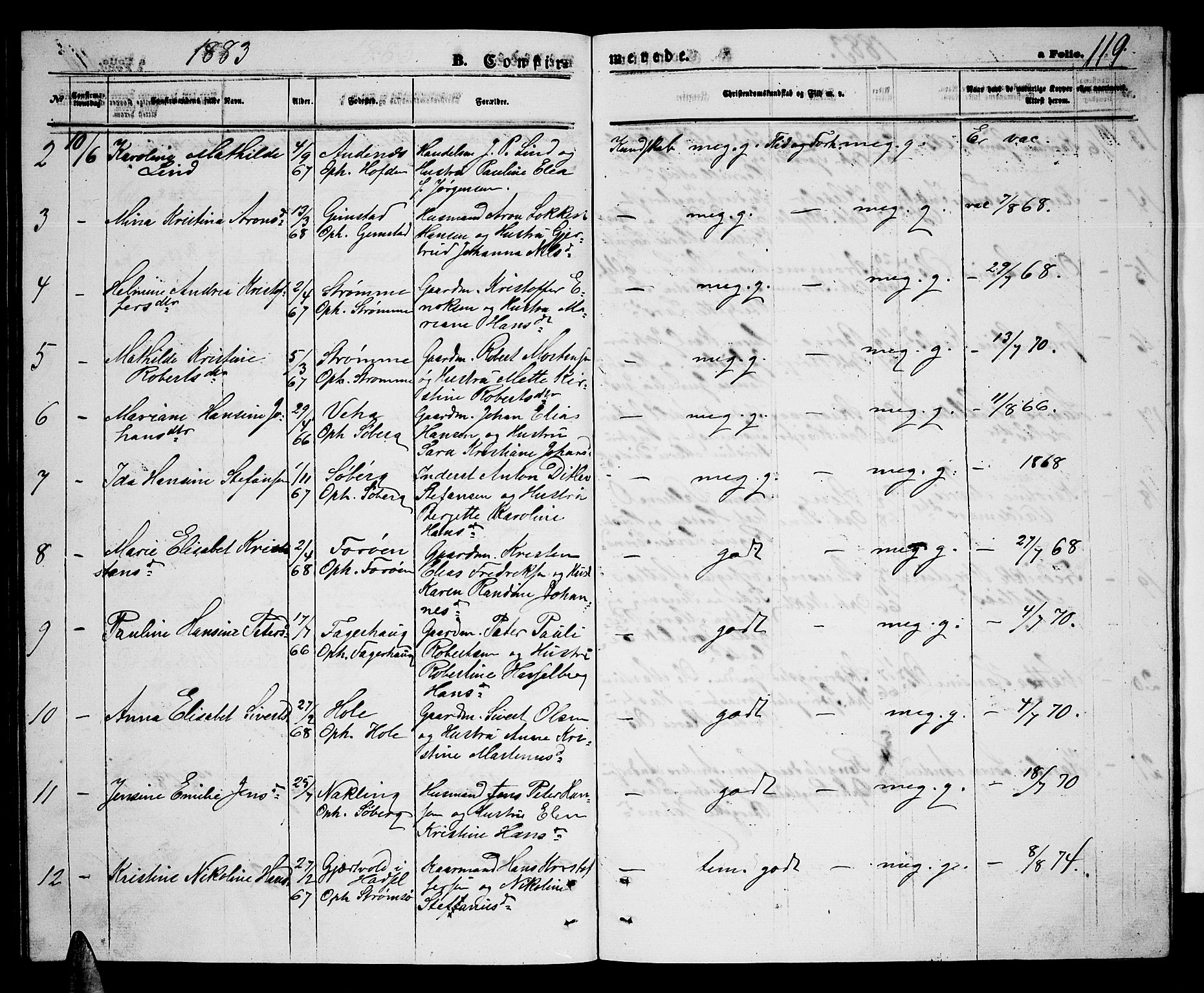 Ministerialprotokoller, klokkerbøker og fødselsregistre - Nordland, AV/SAT-A-1459/891/L1314: Parish register (copy) no. 891C03, 1870-1885, p. 119