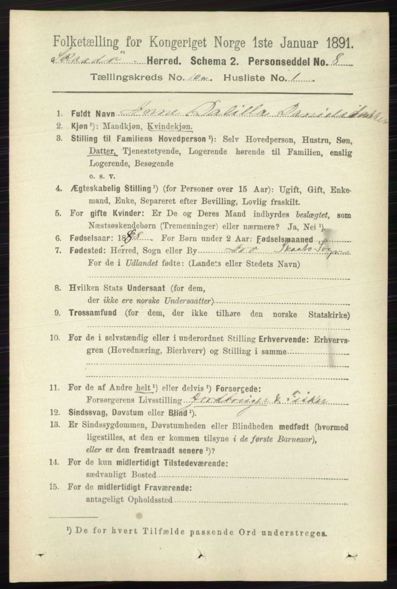 RA, 1891 census for 0815 Skåtøy, 1891, p. 4039