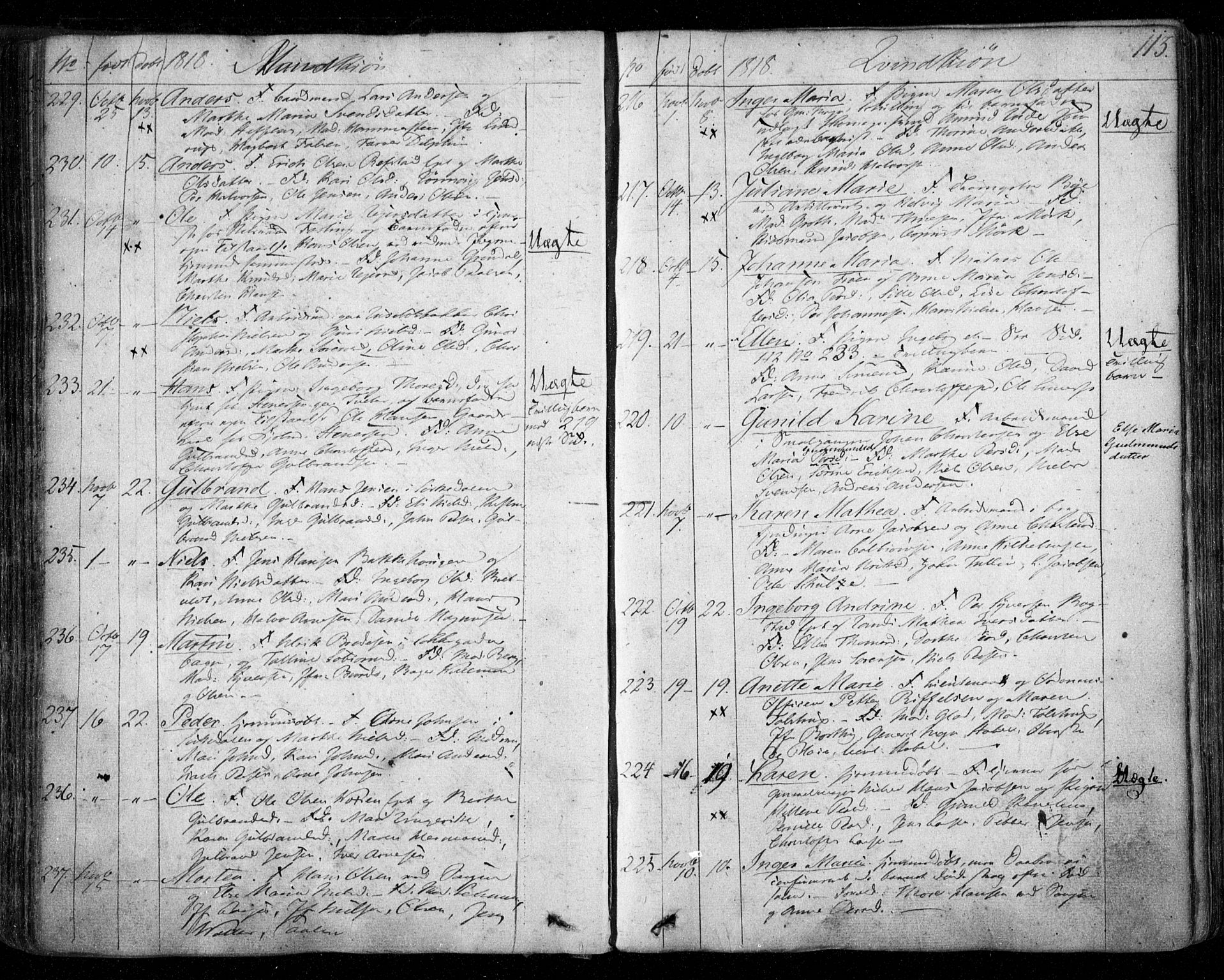 Aker prestekontor kirkebøker, AV/SAO-A-10861/F/L0011: Parish register (official) no. 11, 1810-1819, p. 113