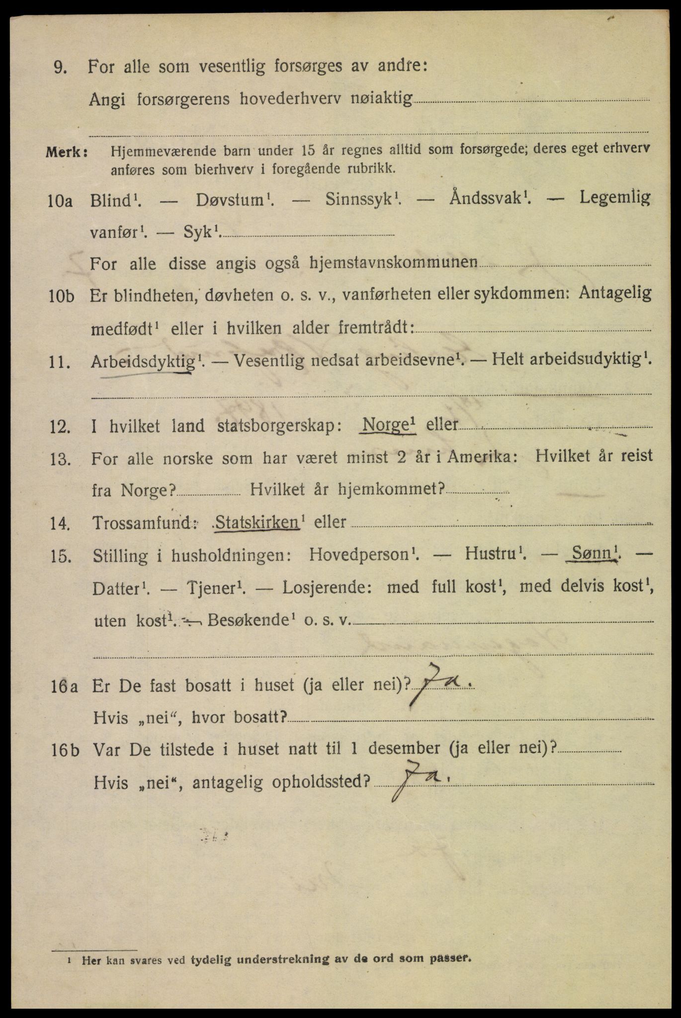 SAH, 1920 census for Lillehammer, 1920, p. 10067