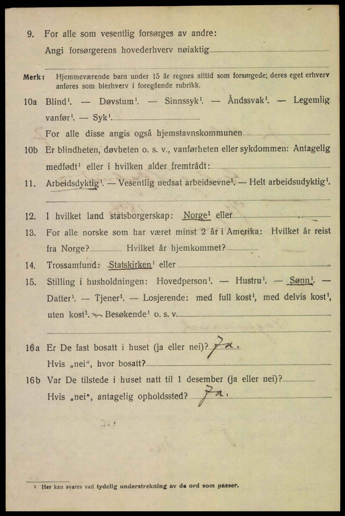 SAH, 1920 census for Lillehammer, 1920, p. 10067