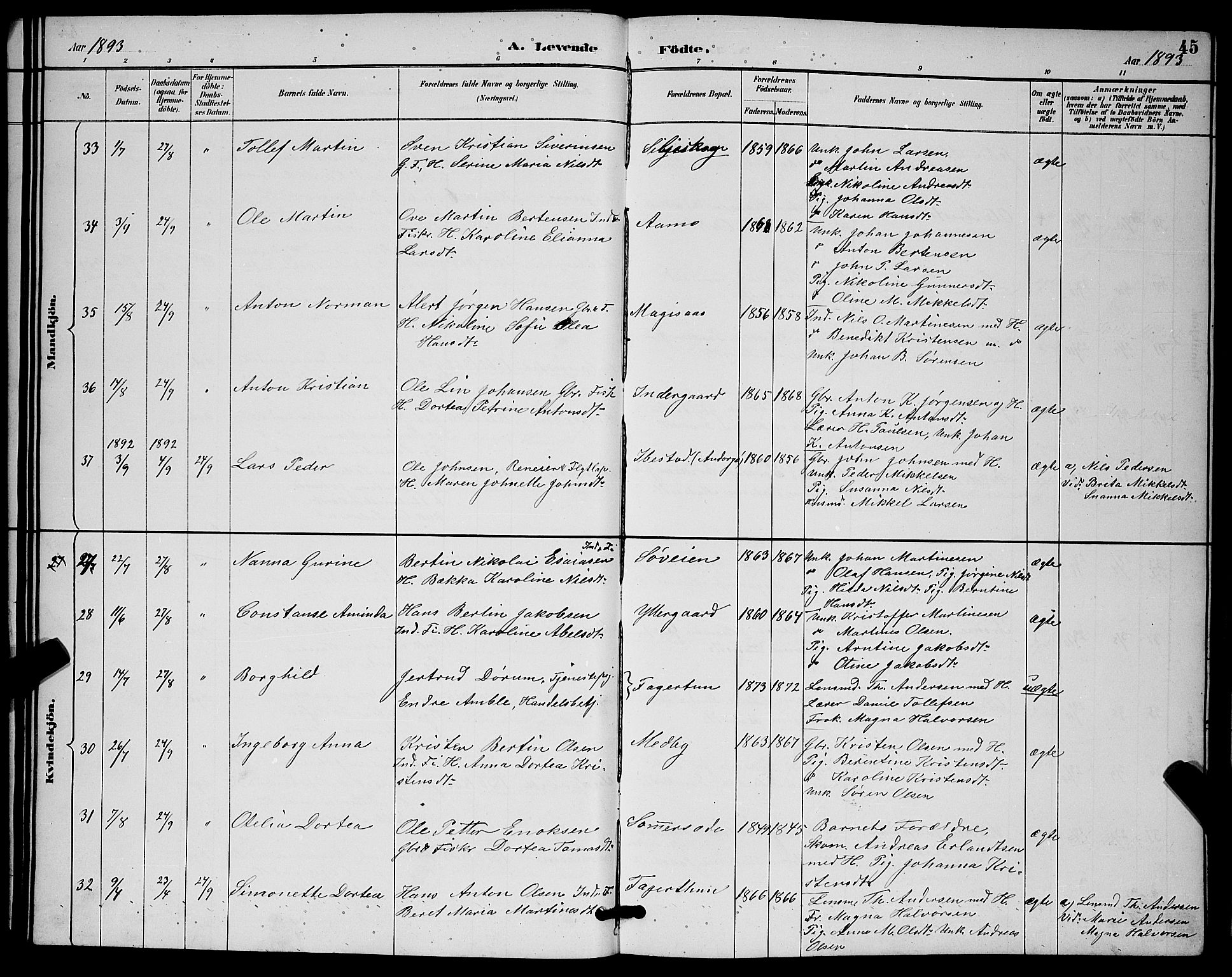 Ibestad sokneprestembete, AV/SATØ-S-0077/H/Ha/Hab/L0015klokker: Parish register (copy) no. 15, 1888-1899, p. 45