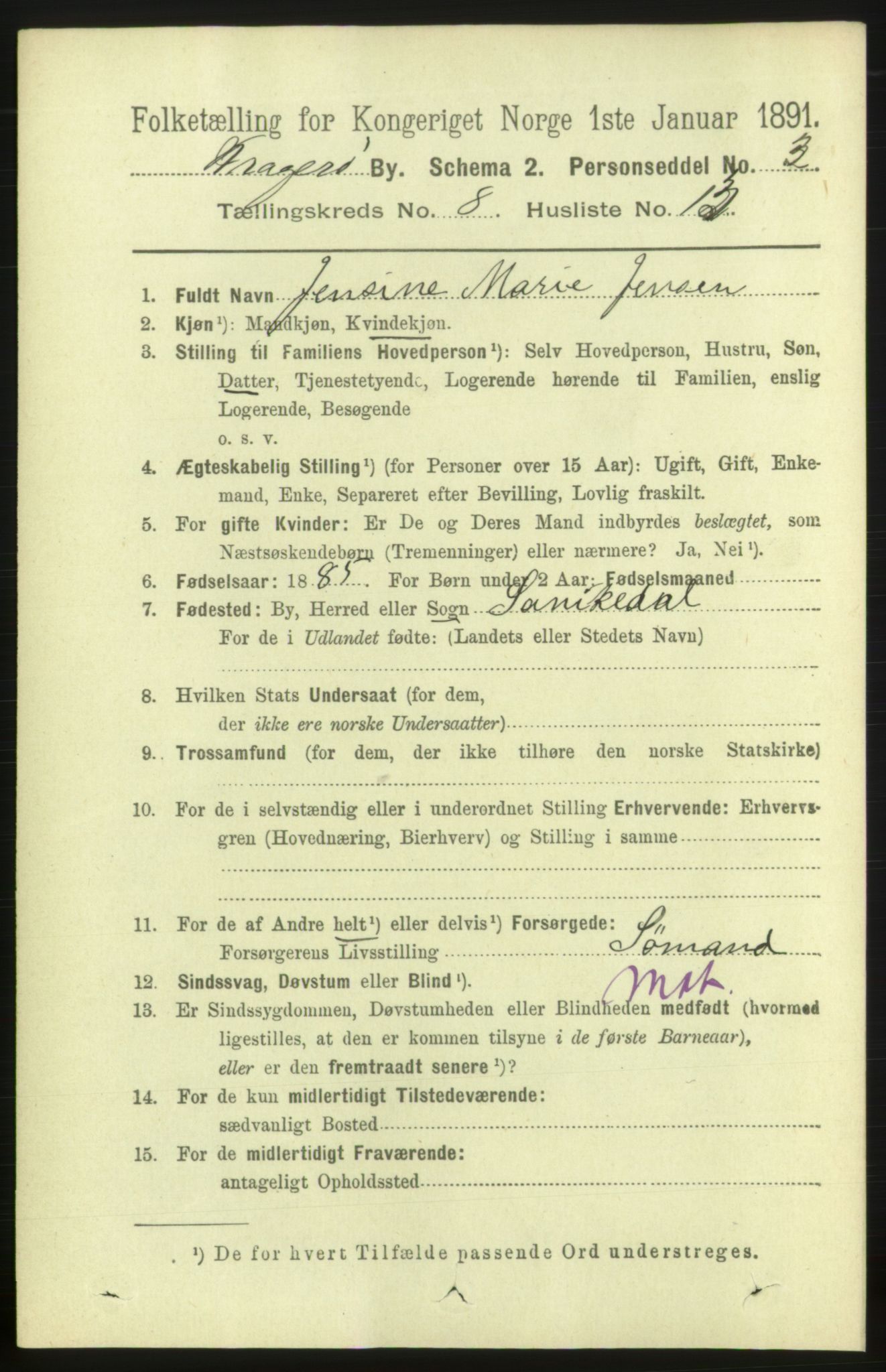 RA, 1891 census for 0801 Kragerø, 1891, p. 3653