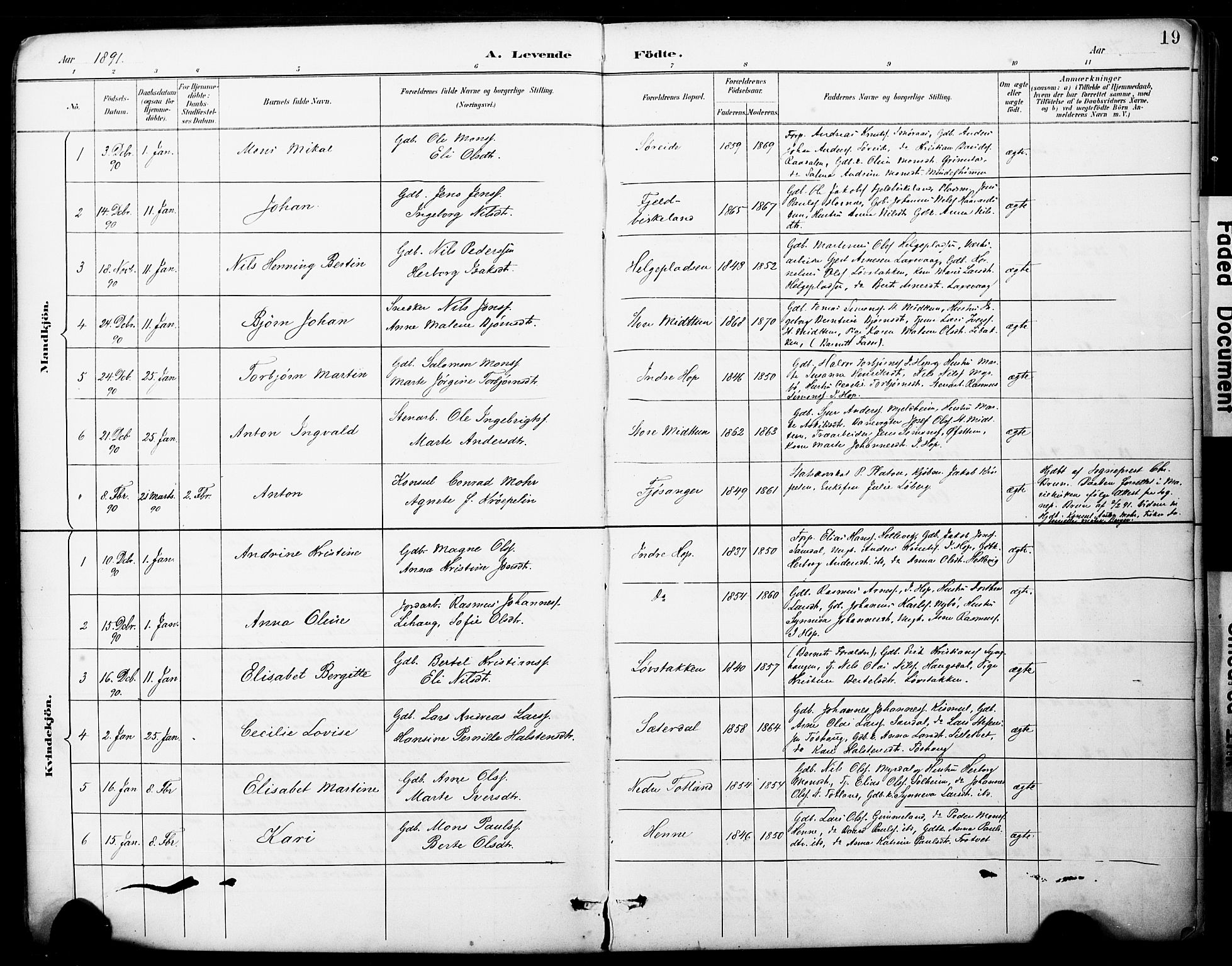 Fana Sokneprestembete, SAB/A-75101/H/Haa/Haai/L0002: Parish register (official) no. I 2, 1888-1899, p. 19