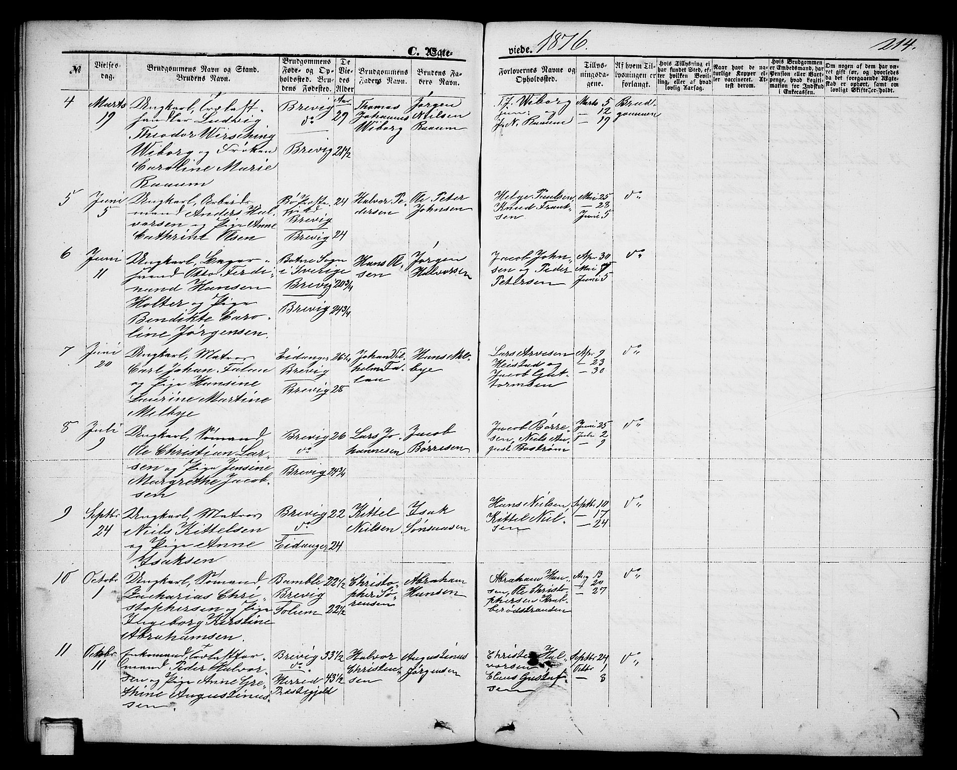 Brevik kirkebøker, SAKO/A-255/G/Ga/L0003: Parish register (copy) no. 3, 1866-1881, p. 214