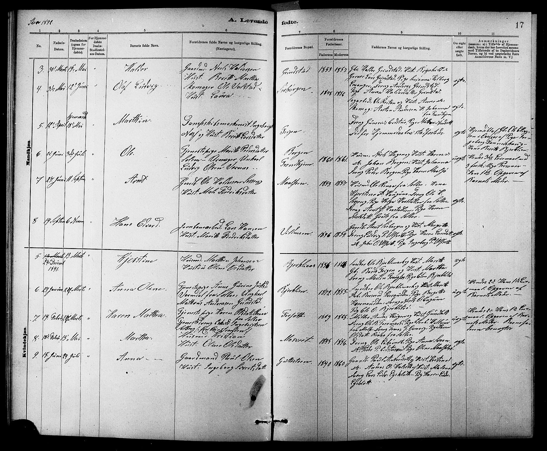 Ministerialprotokoller, klokkerbøker og fødselsregistre - Sør-Trøndelag, SAT/A-1456/618/L0452: Parish register (copy) no. 618C03, 1884-1906, p. 17