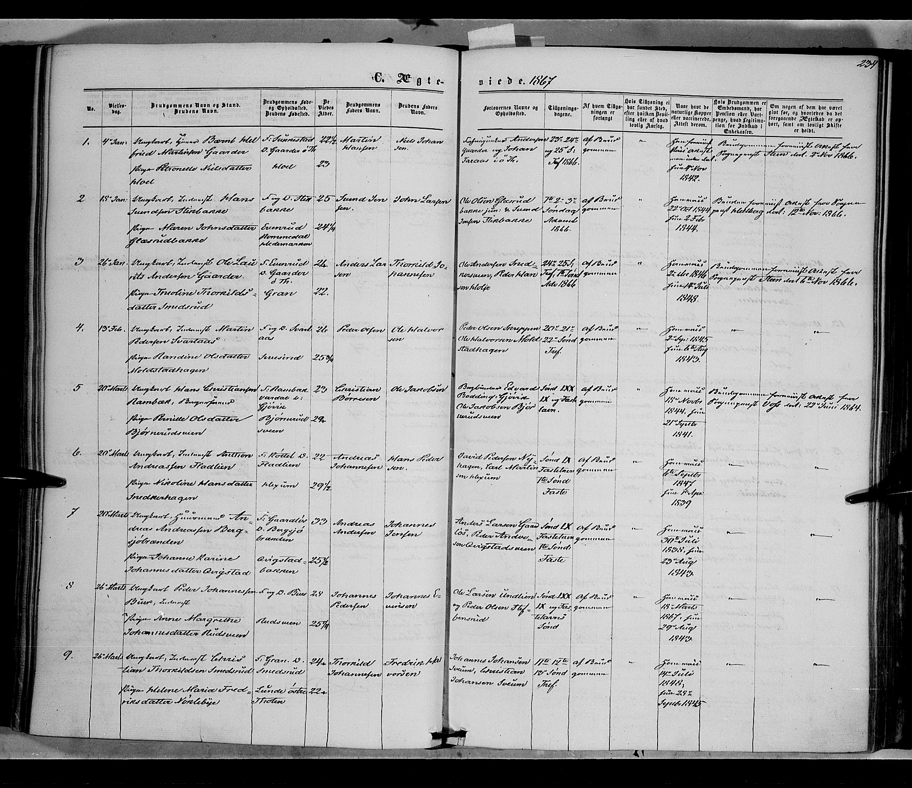 Vestre Toten prestekontor, SAH/PREST-108/H/Ha/Haa/L0007: Parish register (official) no. 7, 1862-1869, p. 234