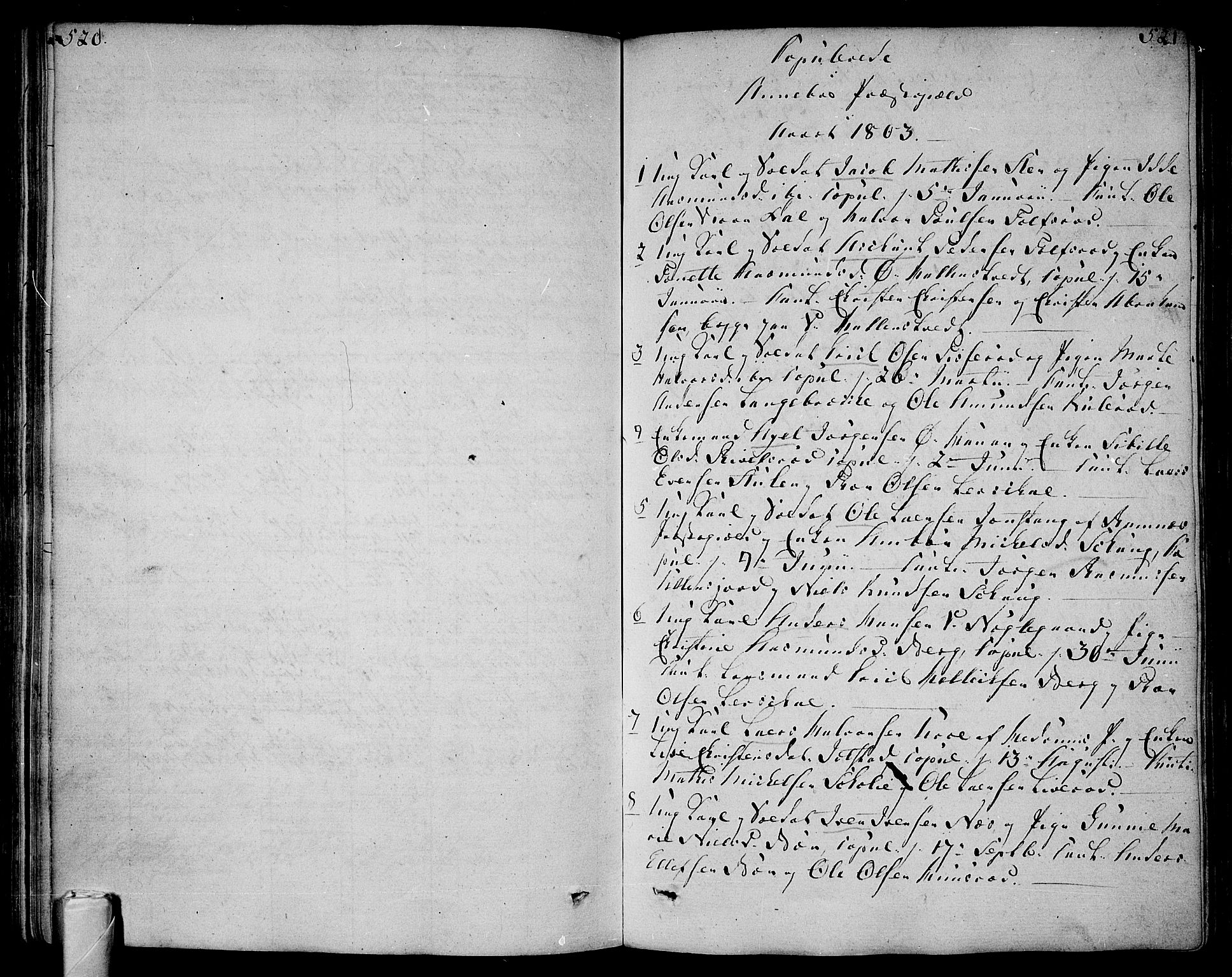 Andebu kirkebøker, AV/SAKO-A-336/F/Fa/L0003: Parish register (official) no. 3 /1, 1803-1828, p. 520-521