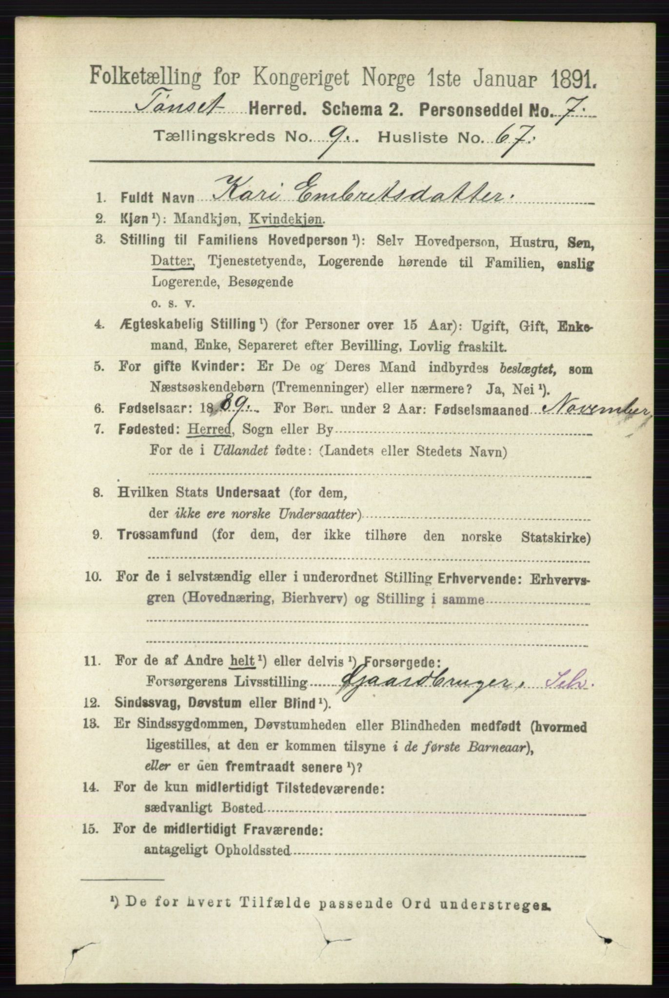 RA, 1891 census for 0437 Tynset, 1891, p. 2800