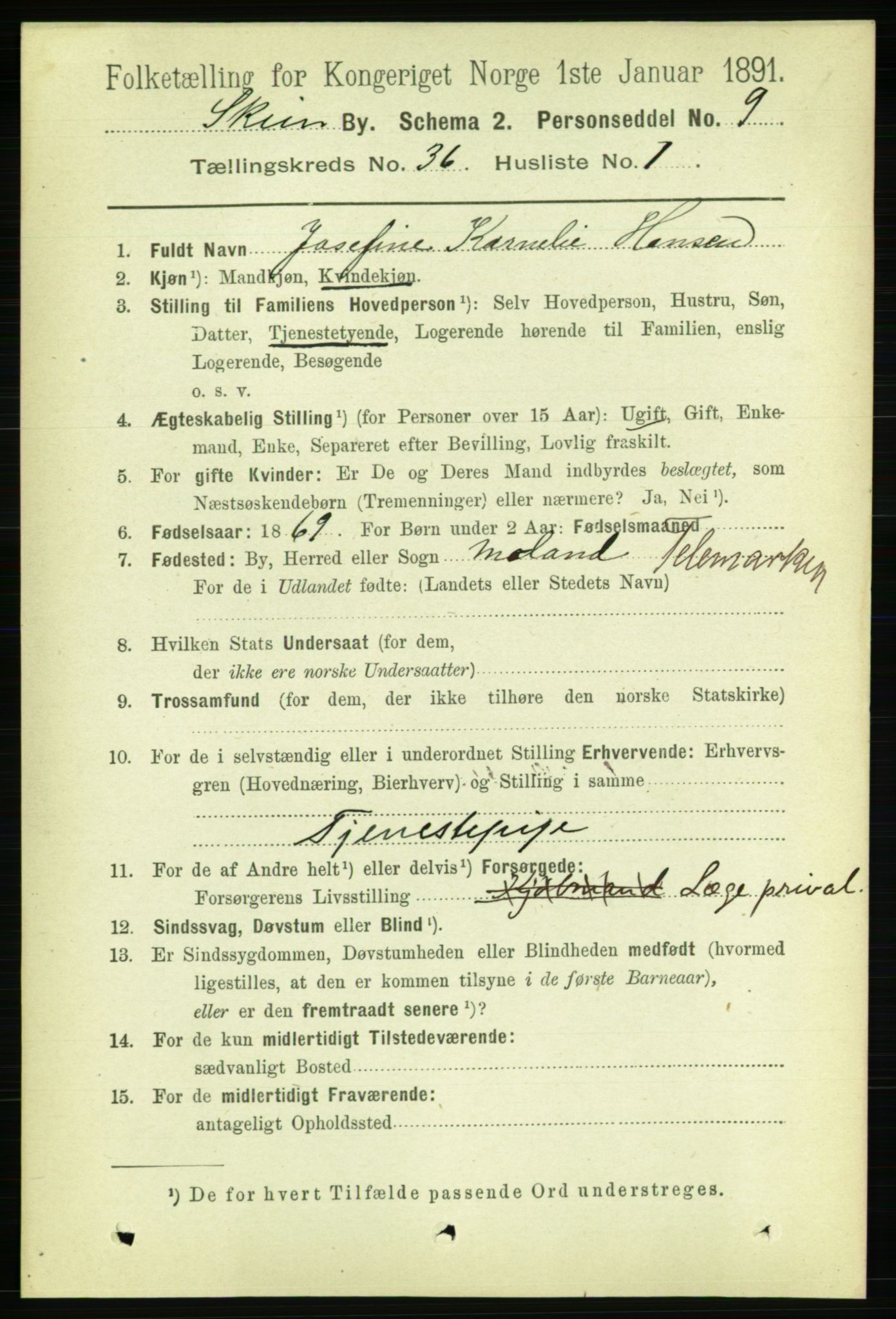 RA, 1891 census for 0806 Skien, 1891, p. 7953