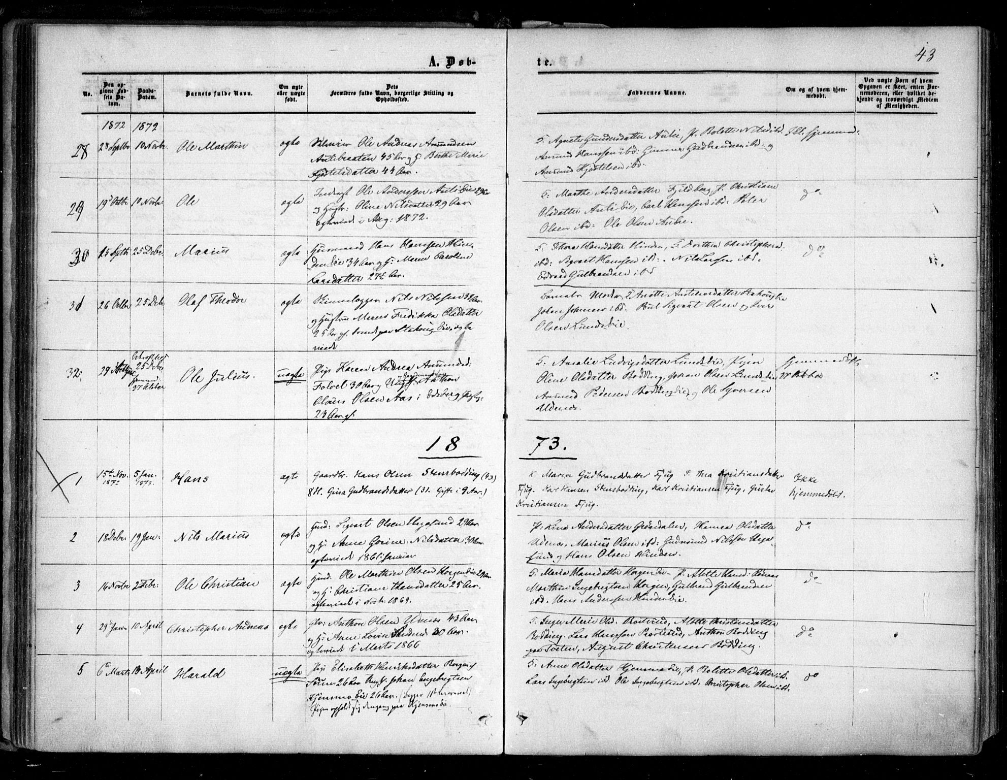 Nes prestekontor Kirkebøker, AV/SAO-A-10410/F/Fc/L0001: Parish register (official) no. III 1, 1859-1882, p. 43