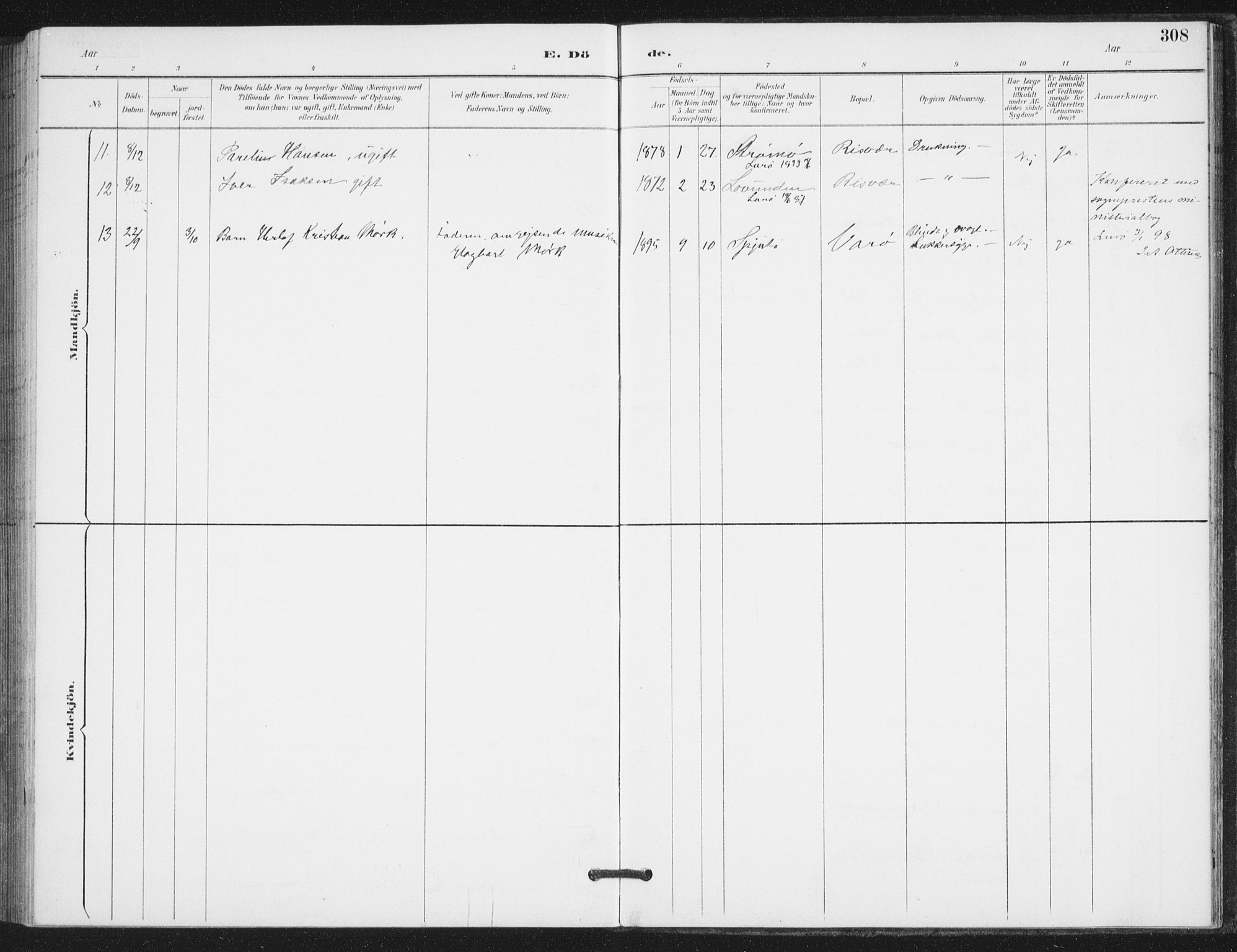 Ministerialprotokoller, klokkerbøker og fødselsregistre - Nordland, AV/SAT-A-1459/839/L0573: Parish register (copy) no. 839C03, 1892-1917, p. 308
