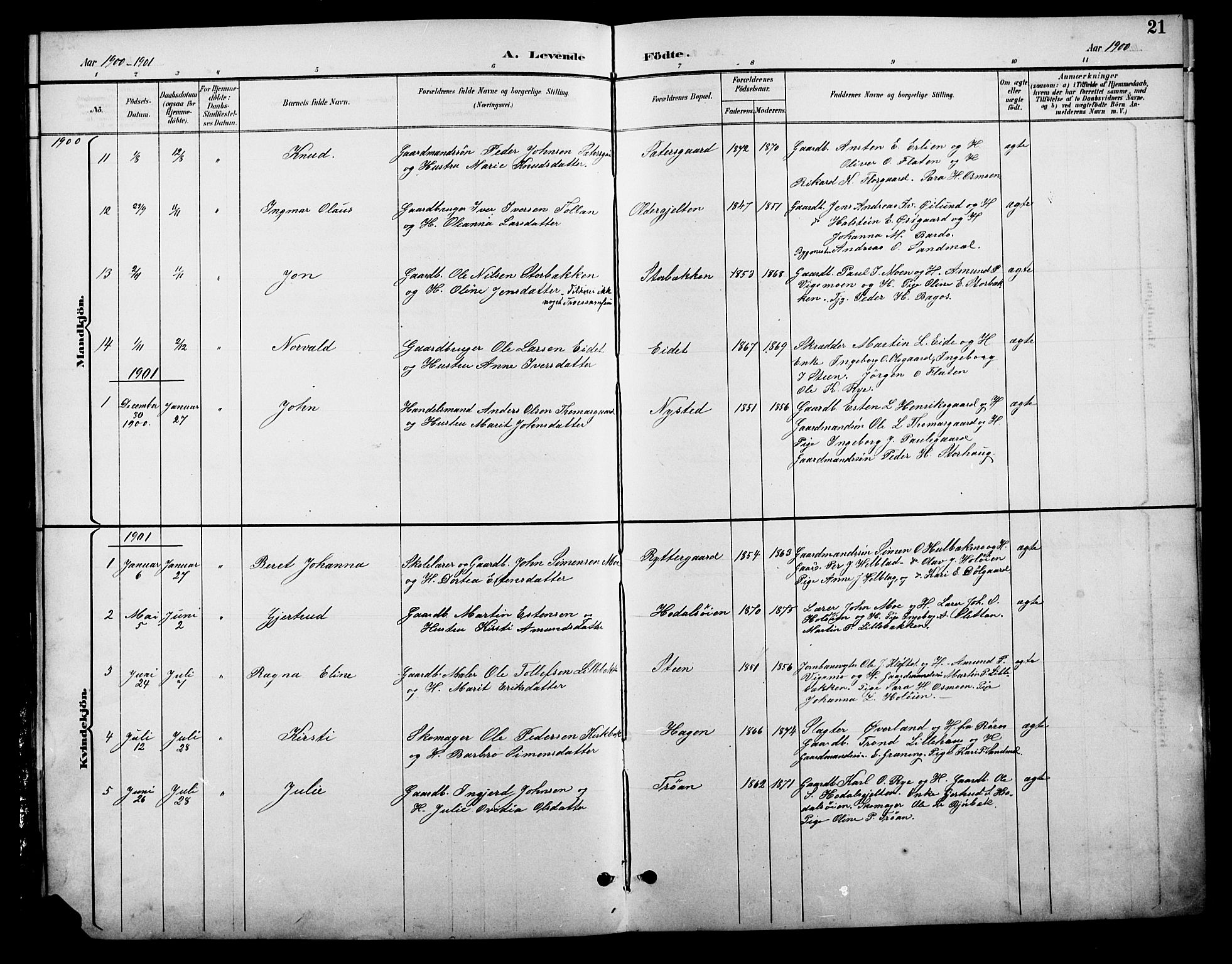 Tolga prestekontor, SAH/PREST-062/L/L0009: Parish register (copy) no. 9, 1892-1919, p. 21