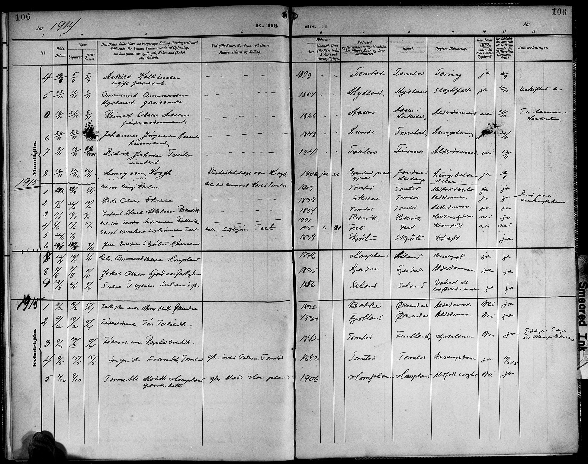 Sirdal sokneprestkontor, AV/SAK-1111-0036/F/Fb/Fbb/L0004: Parish register (copy) no. B 4, 1895-1916, p. 106