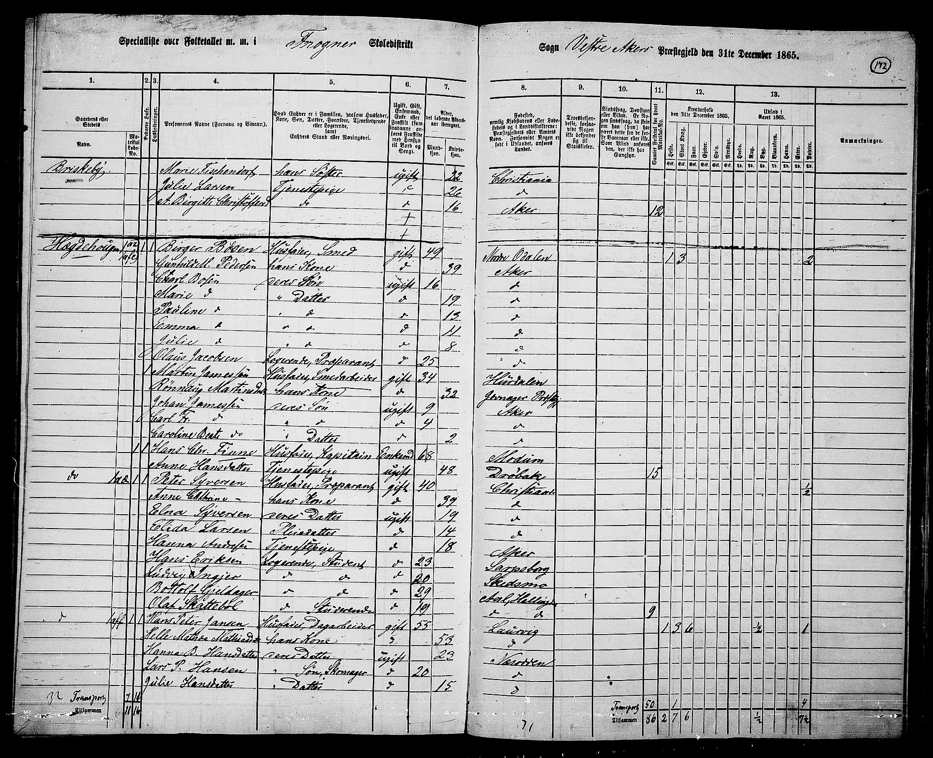 RA, 1865 census for Vestre Aker, 1865, p. 338