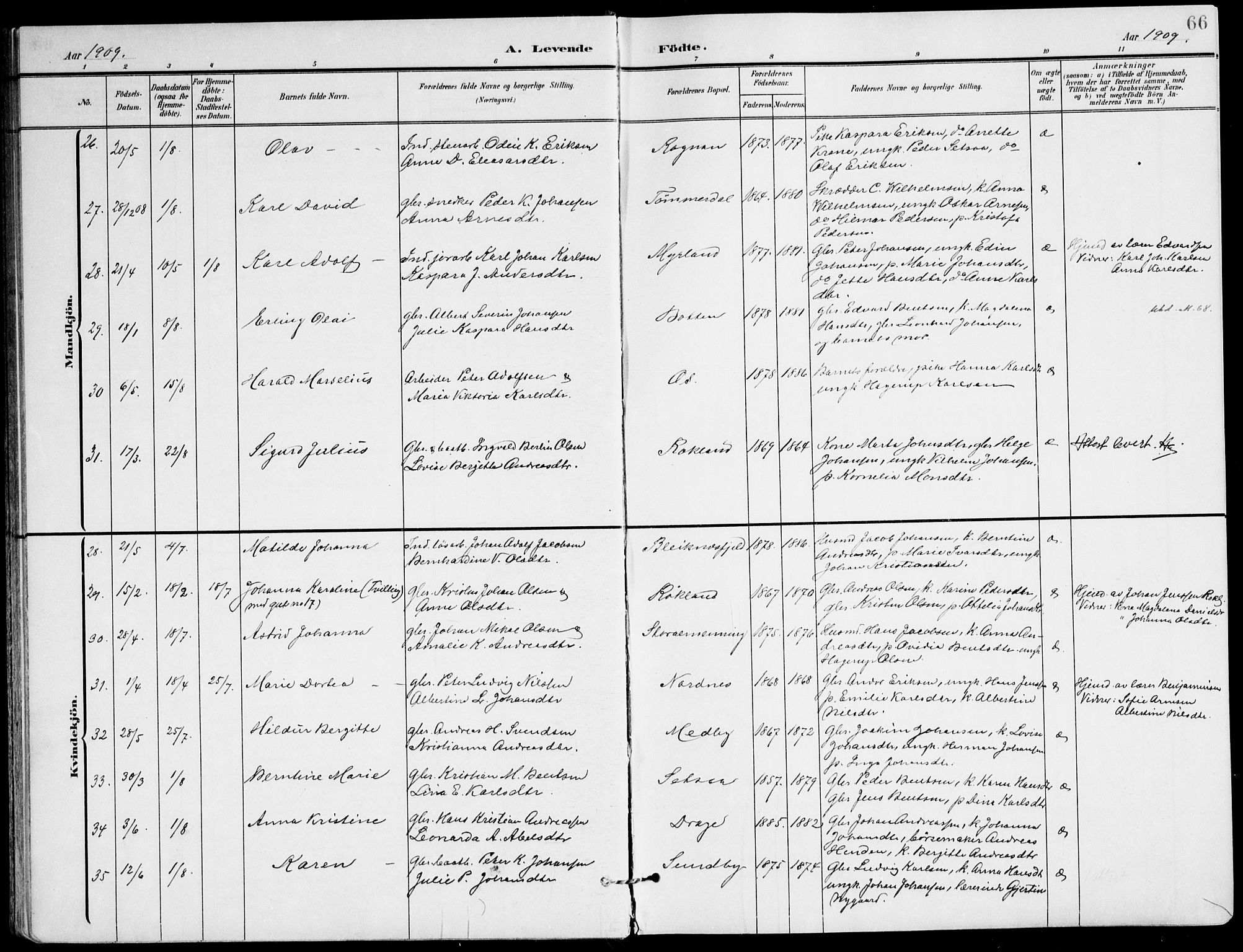 Ministerialprotokoller, klokkerbøker og fødselsregistre - Nordland, AV/SAT-A-1459/847/L0672: Parish register (official) no. 847A12, 1902-1919, p. 66