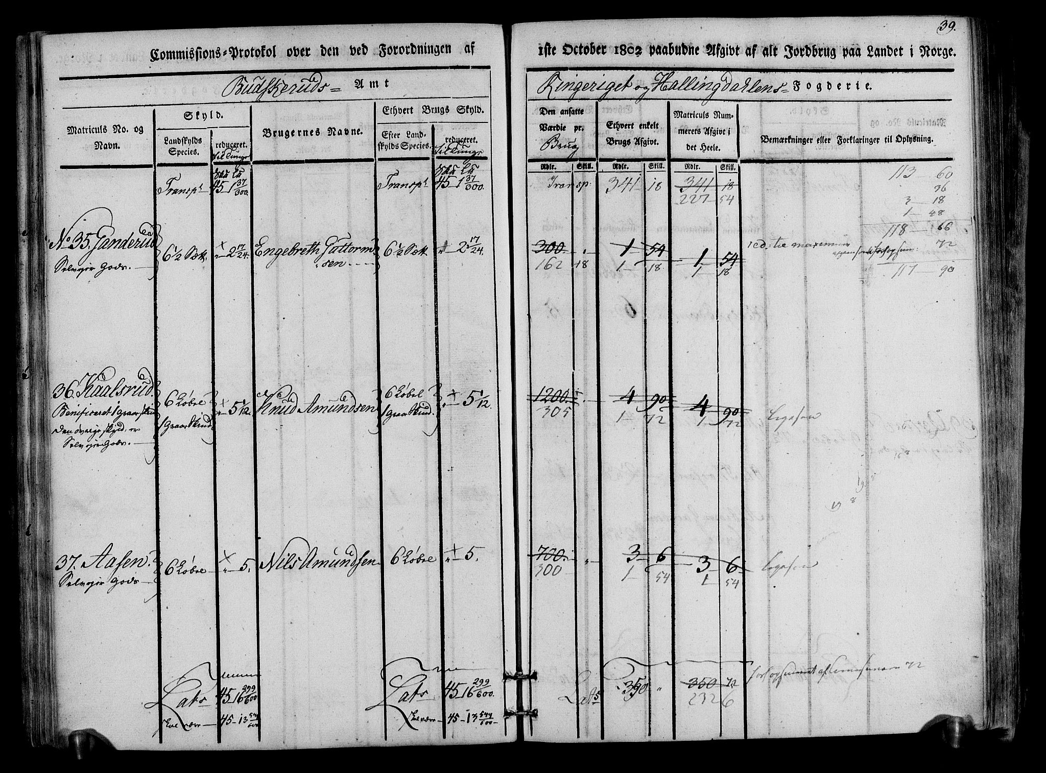 Rentekammeret inntil 1814, Realistisk ordnet avdeling, RA/EA-4070/N/Ne/Nea/L0047: Ringerike og Hallingdal fogderi. Kommisjonsprotokoll for Nes prestegjeld, 1803, p. 41