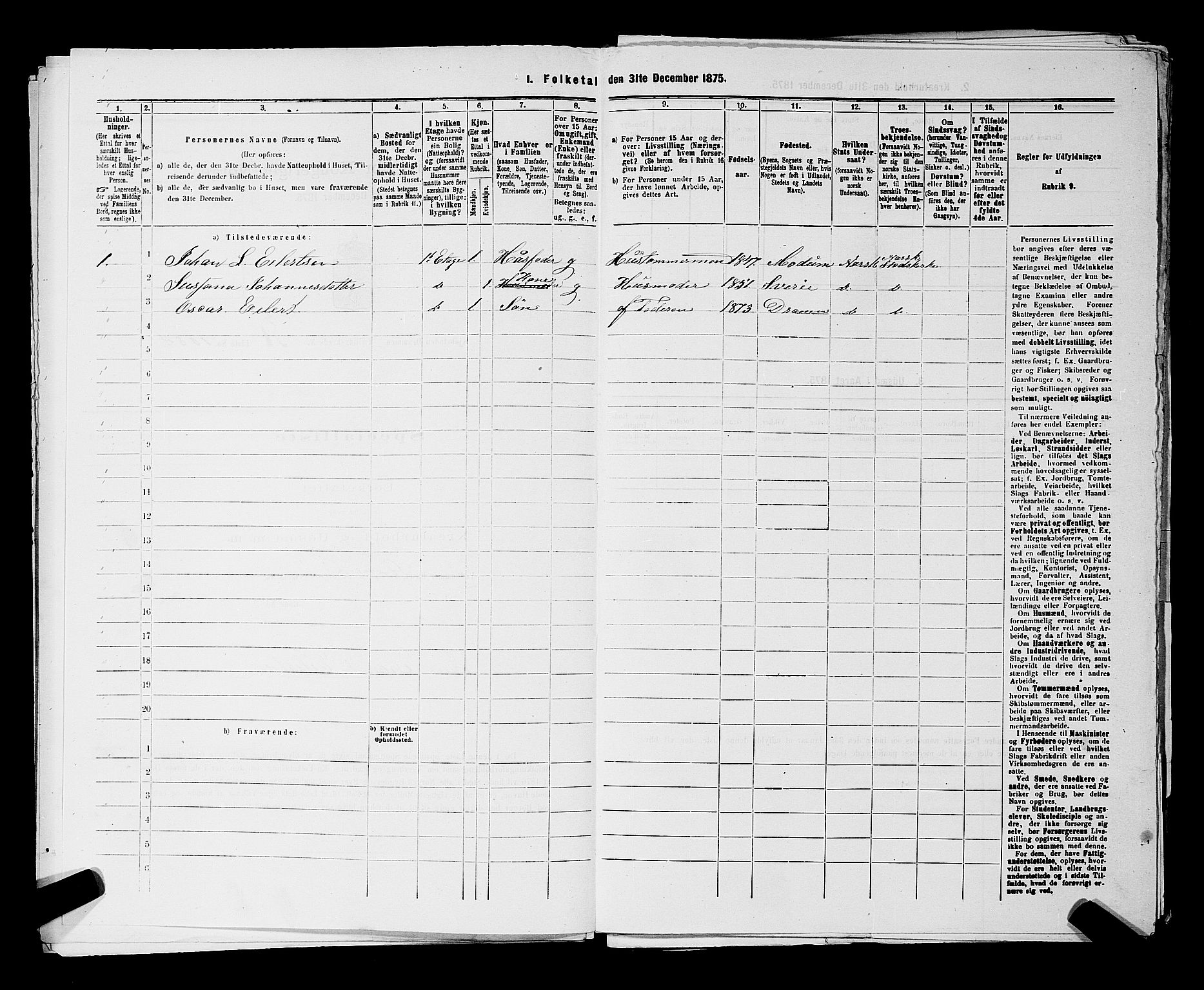 SAKO, 1875 census for 0602 Drammen, 1875, p. 2872