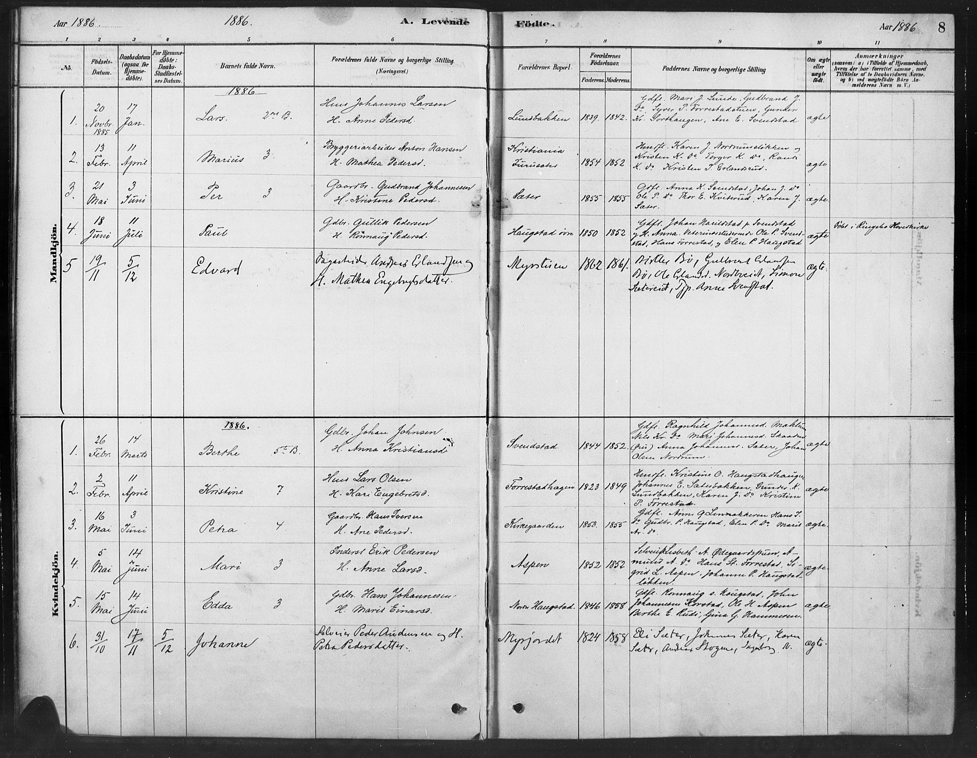 Ringebu prestekontor, AV/SAH-PREST-082/H/Ha/Haa/L0010: Parish register (official) no. 10, 1878-1898, p. 8