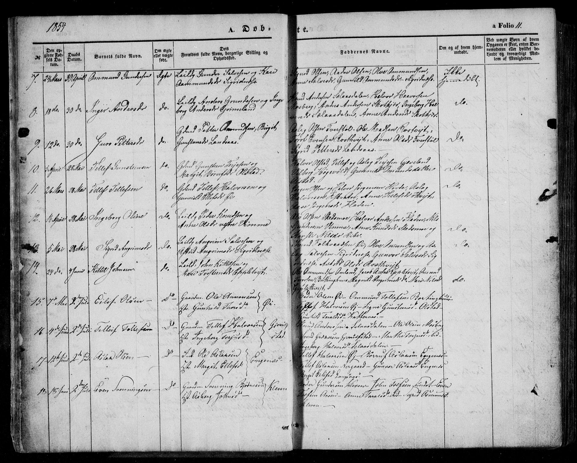Åmli sokneprestkontor, AV/SAK-1111-0050/F/Fa/Fac/L0008: Parish register (official) no. A 8, 1852-1869, p. 11