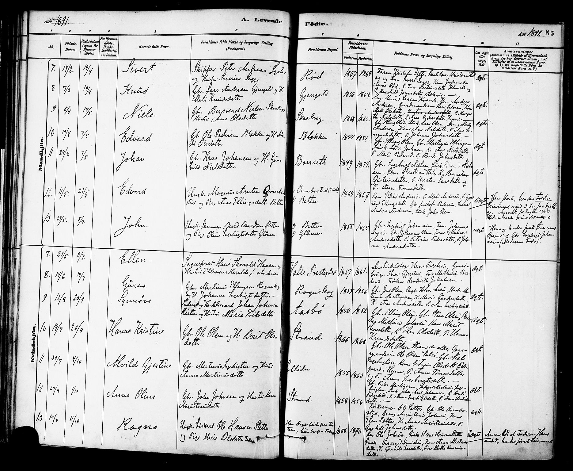 Ministerialprotokoller, klokkerbøker og fødselsregistre - Møre og Romsdal, AV/SAT-A-1454/576/L0885: Parish register (official) no. 576A03, 1880-1898, p. 55