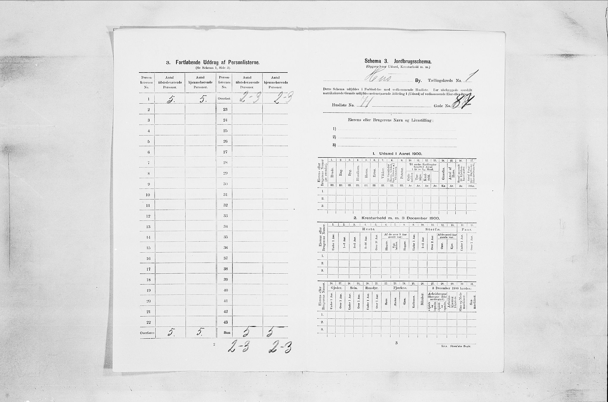 SAO, 1900 census for Son, 1900