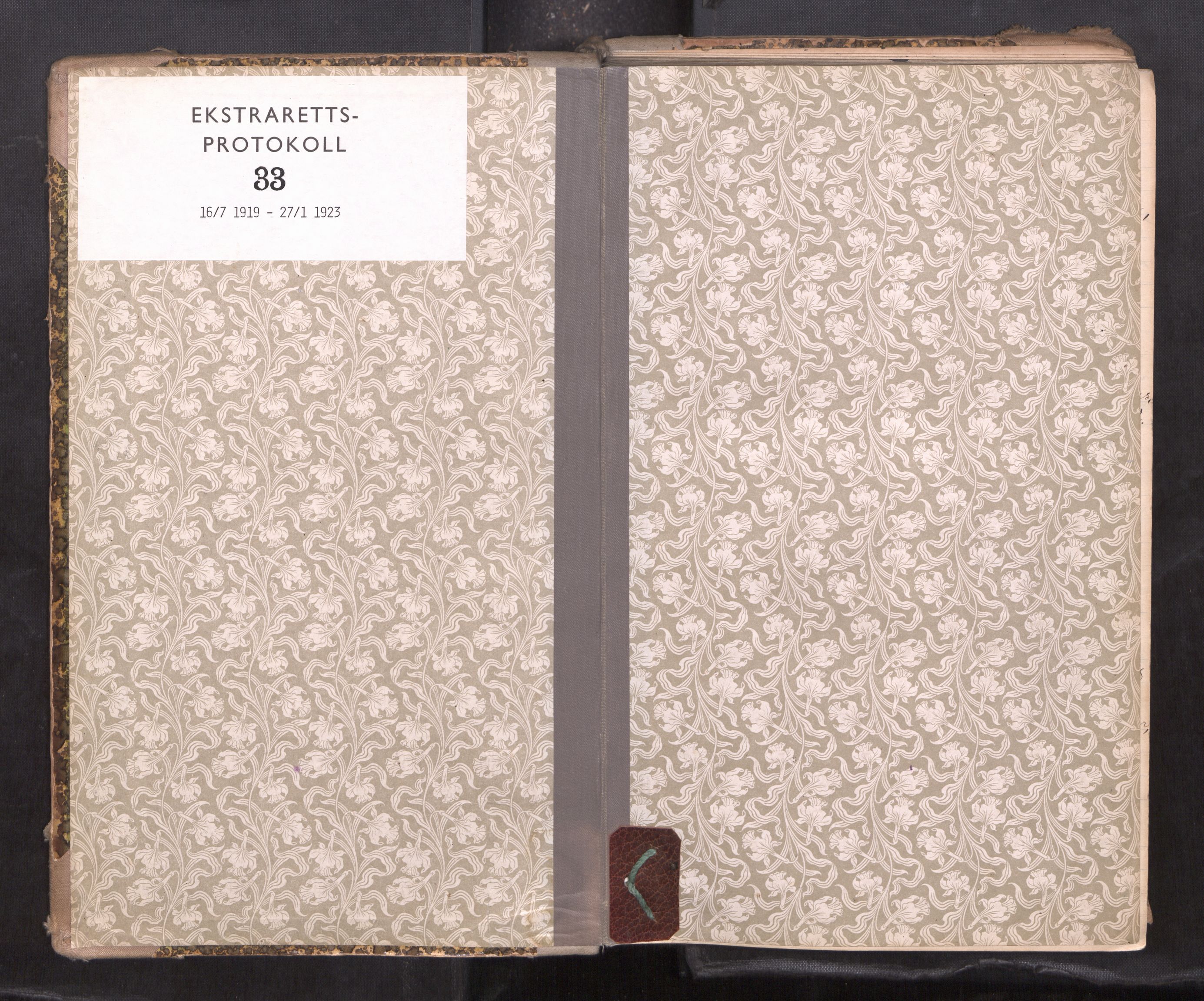 Vesterålen sorenskriveri, SAT/A-4180/1/1/1B/L0033: Ekstrarettsprotokoll, 1919-1923
