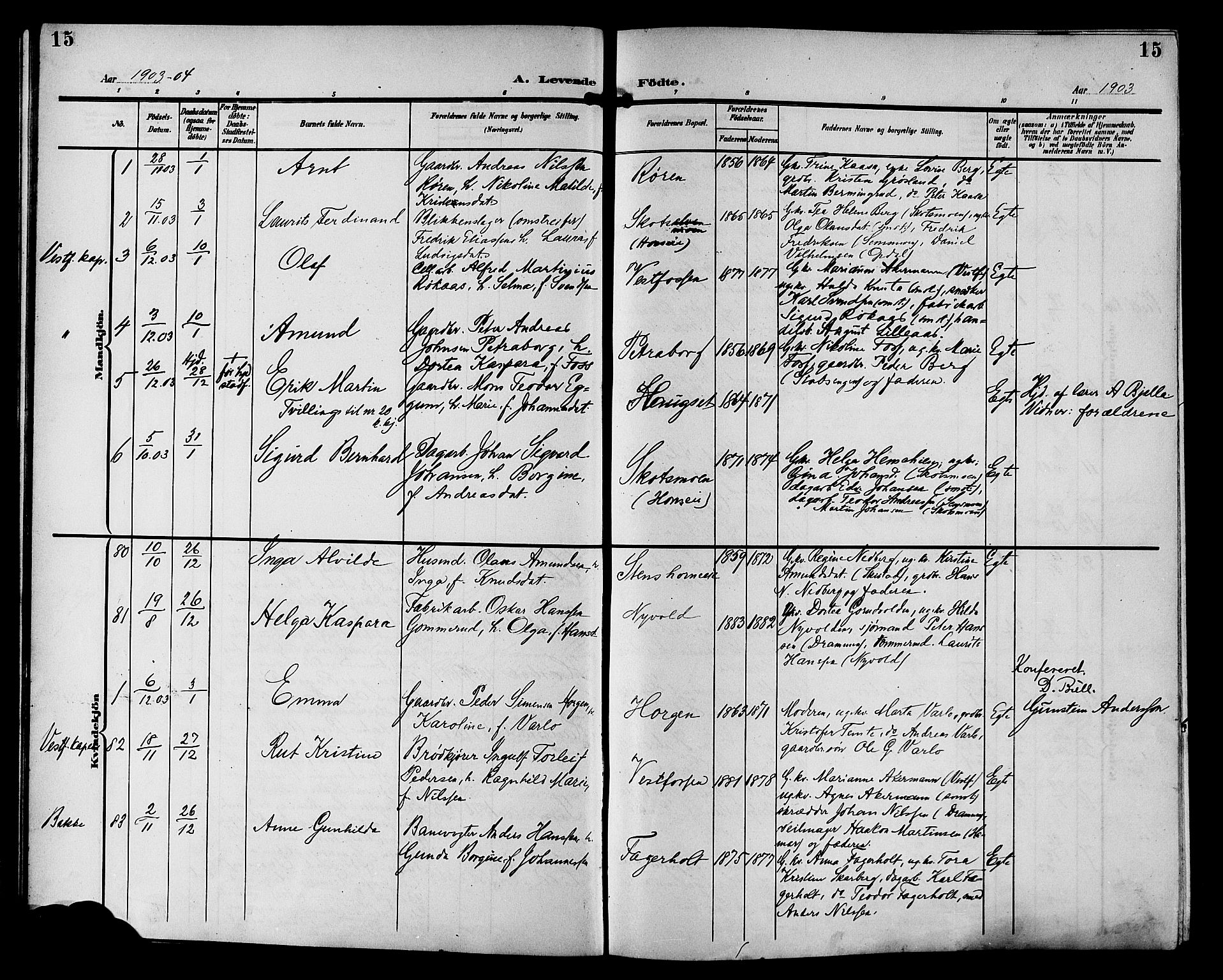 Eiker kirkebøker, SAKO/A-4/G/Ga/L0008: Parish register (copy) no. I 8, 1903-1914, p. 15