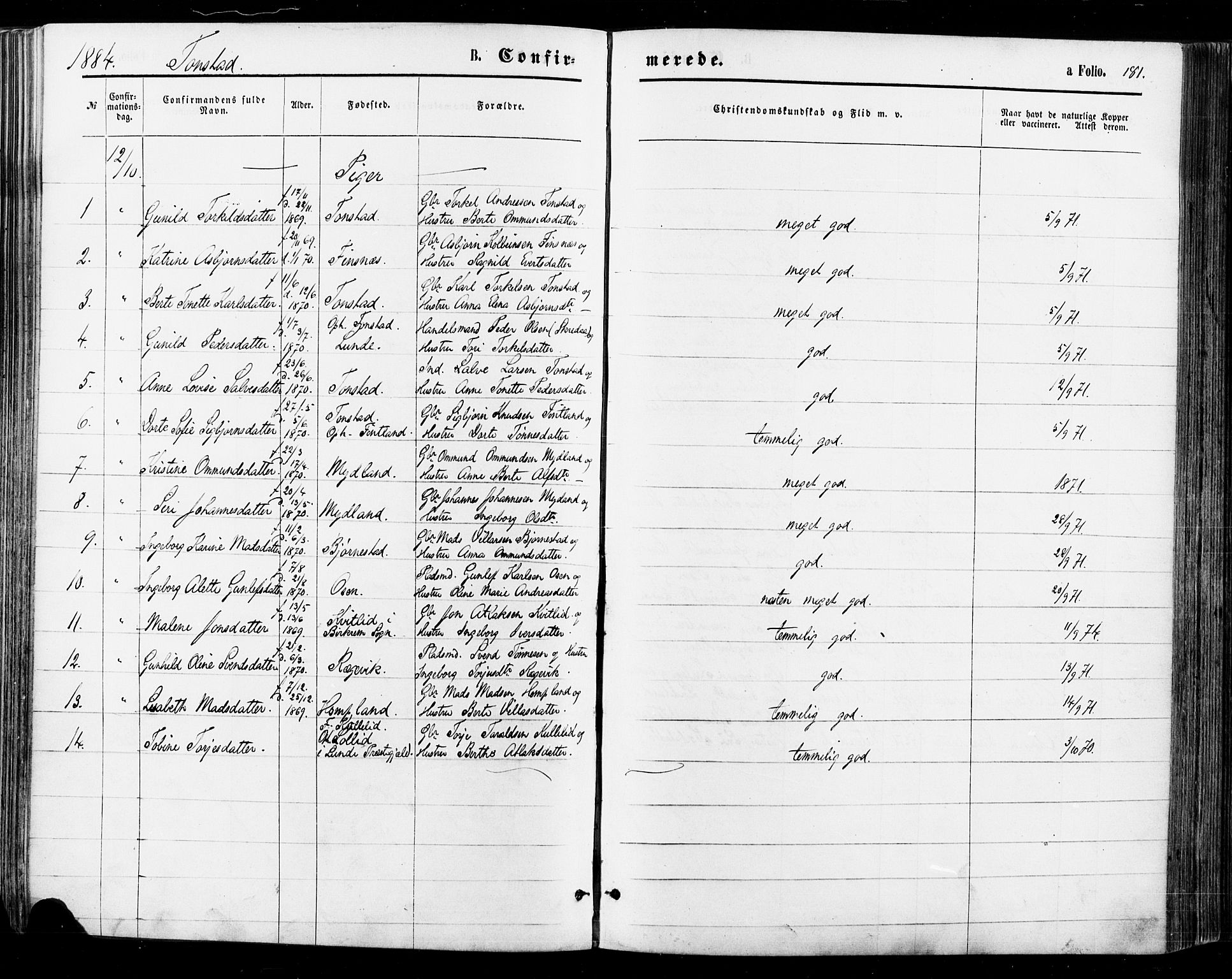 Sirdal sokneprestkontor, AV/SAK-1111-0036/F/Fa/Fab/L0003: Parish register (official) no. A 3, 1874-1886, p. 181