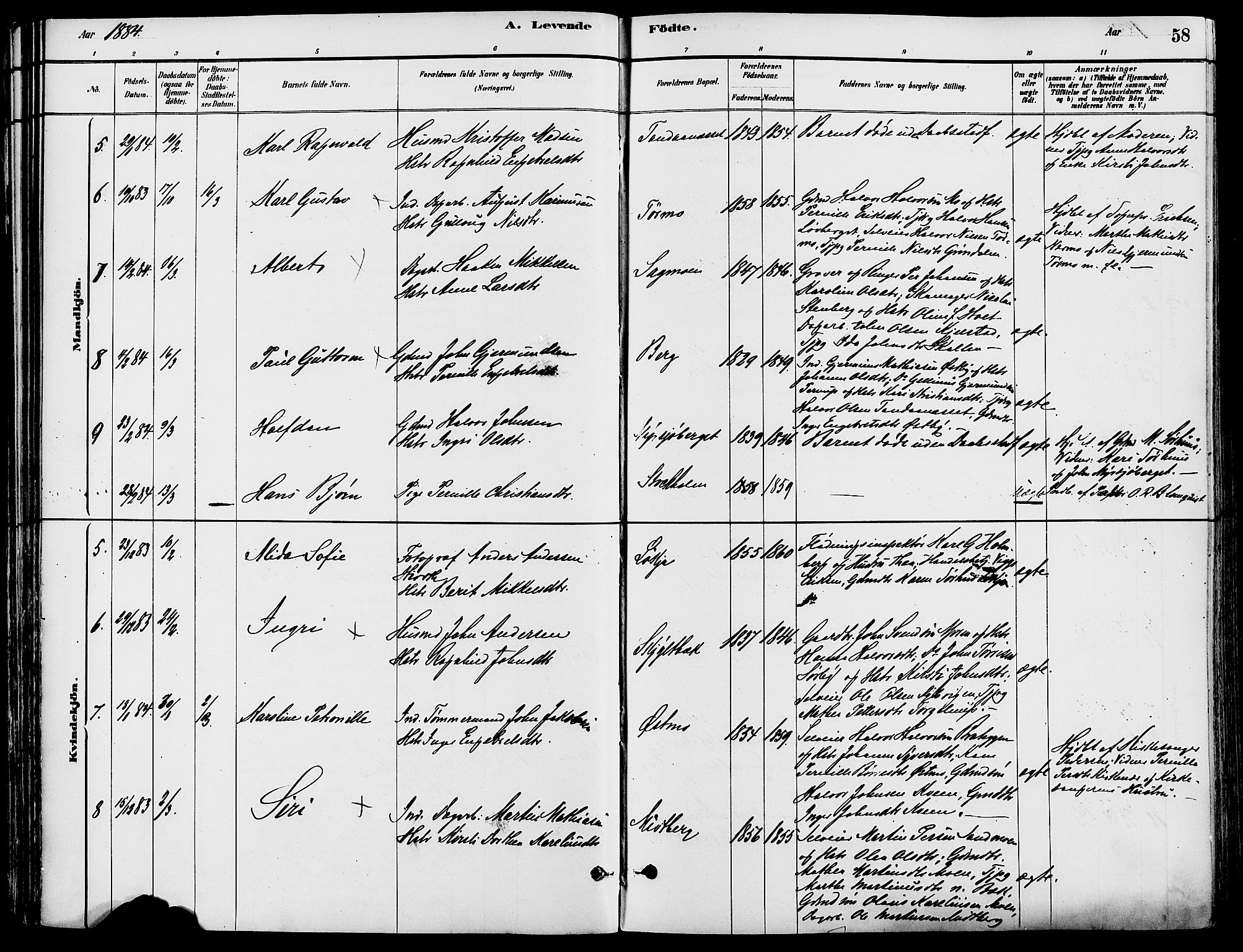 Trysil prestekontor, SAH/PREST-046/H/Ha/Haa/L0008: Parish register (official) no. 8, 1881-1897, p. 58